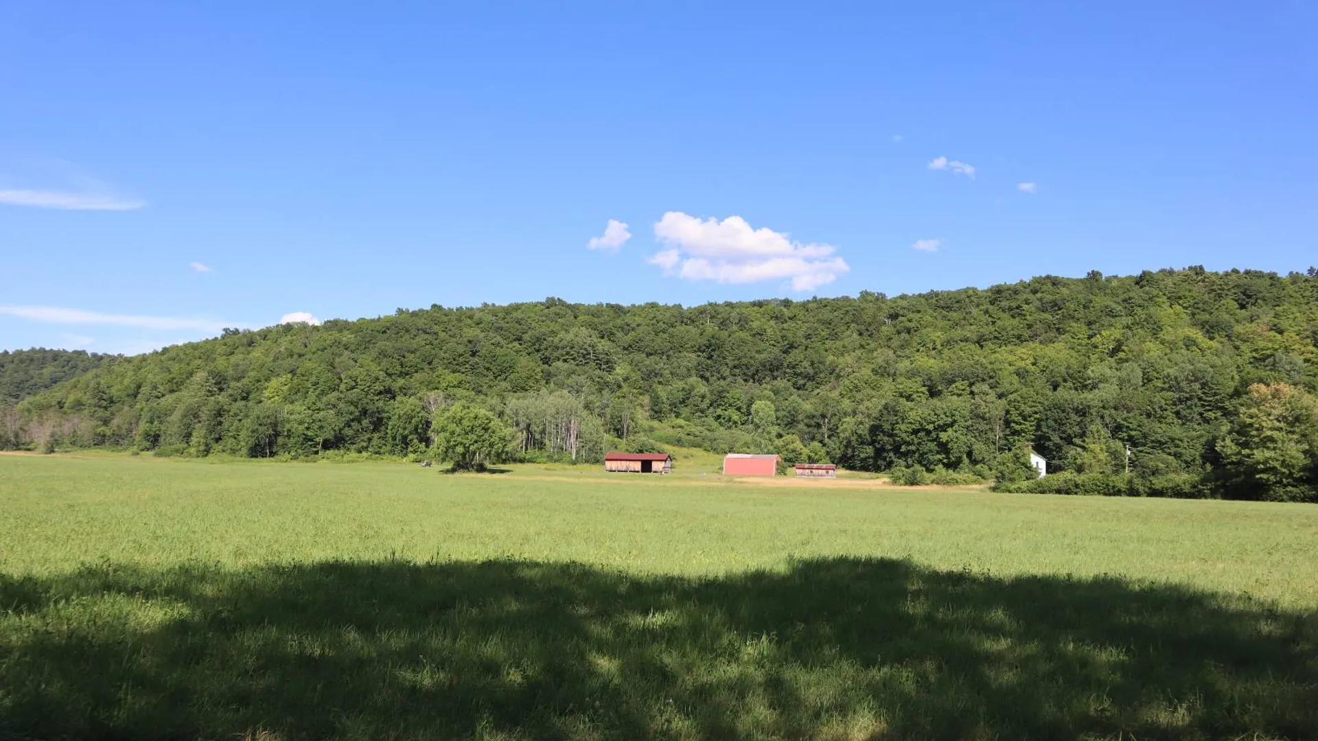 Property at 256 Ryder Rd, Whitehall, NY 12887 50