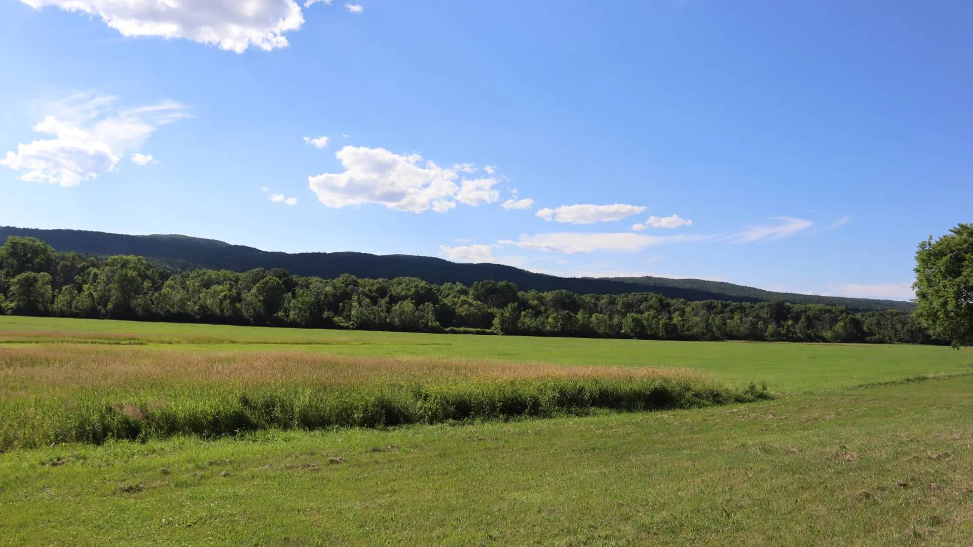 Property at 256 Ryder Rd, Whitehall, NY 12887 52