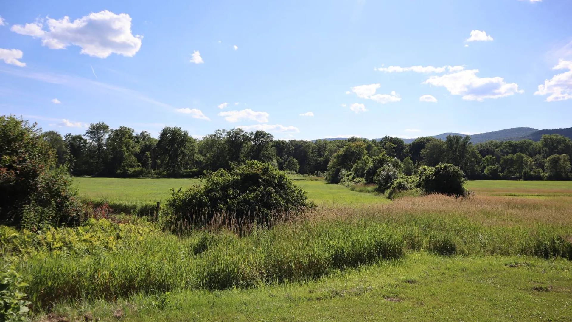 Property at 256 Ryder Rd, Whitehall, NY 12887 53