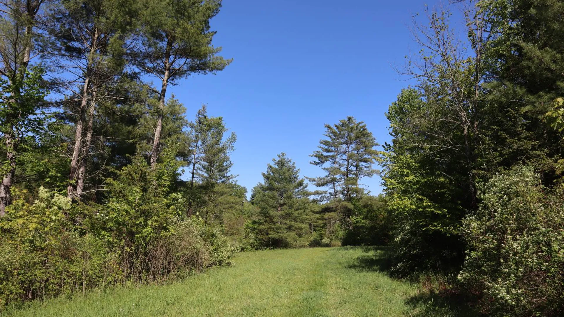 Property at 256 Ryder Rd, Whitehall, NY 12887 60