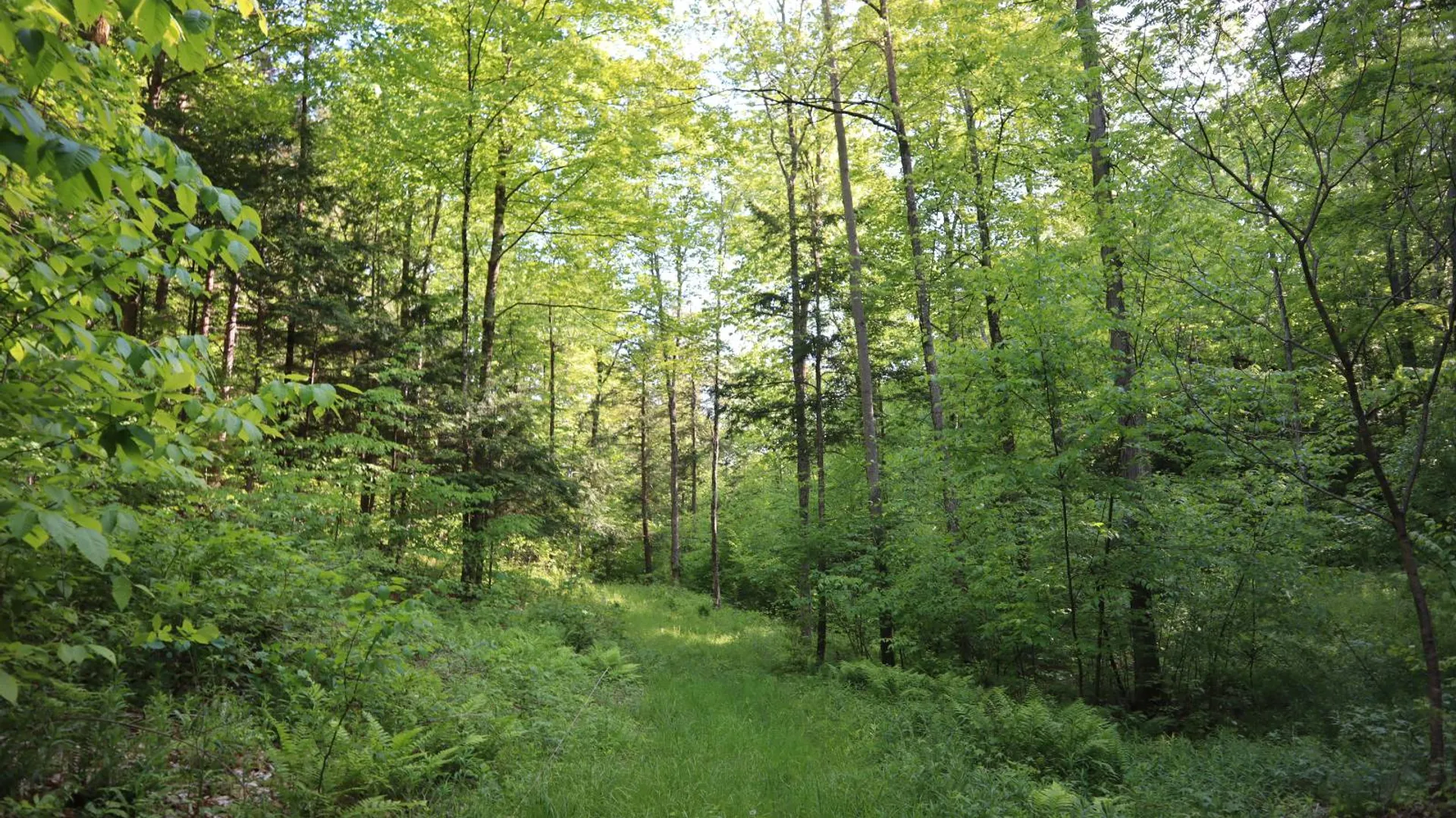 Property at 256 Ryder Rd, Whitehall, NY 12887 63