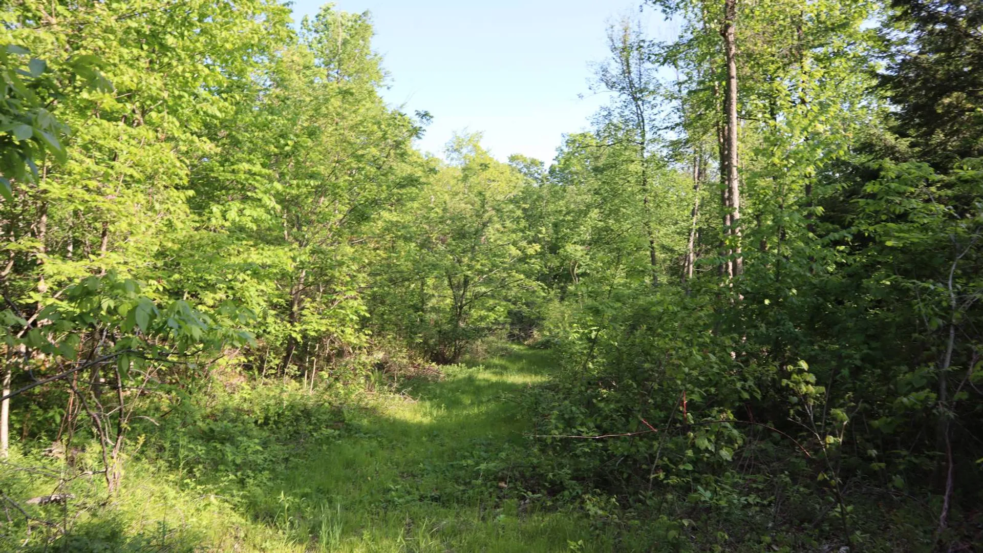 Property at 256 Ryder Rd, Whitehall, NY 12887 67
