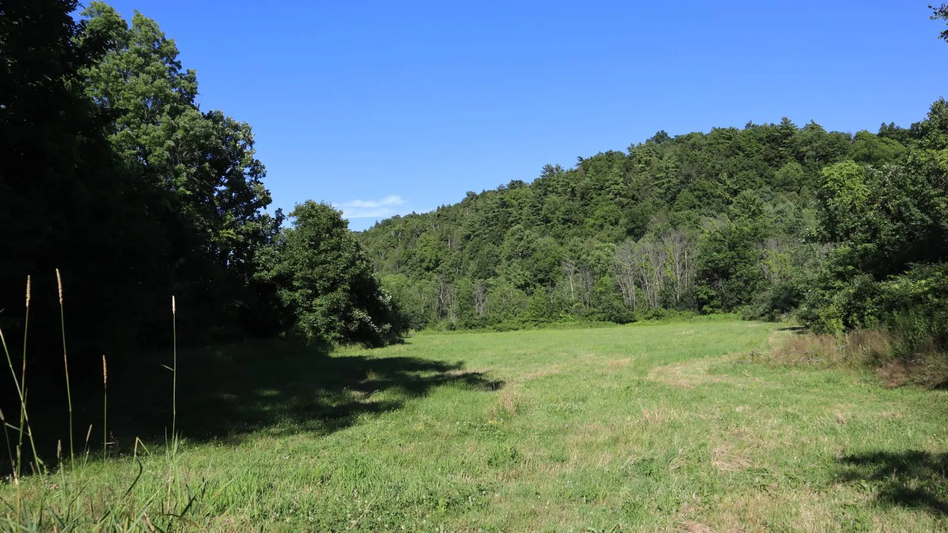 Property at 256 Ryder Rd, Whitehall, NY 12887 69