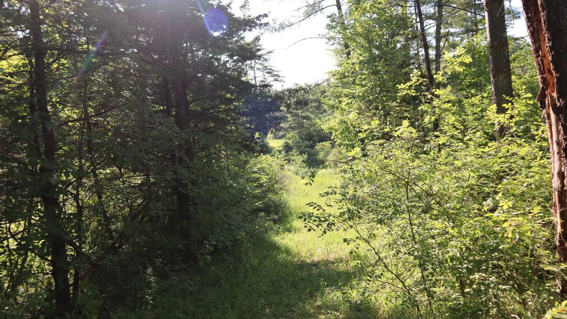 Property at 256 Ryder Rd, Whitehall, NY 12887 71