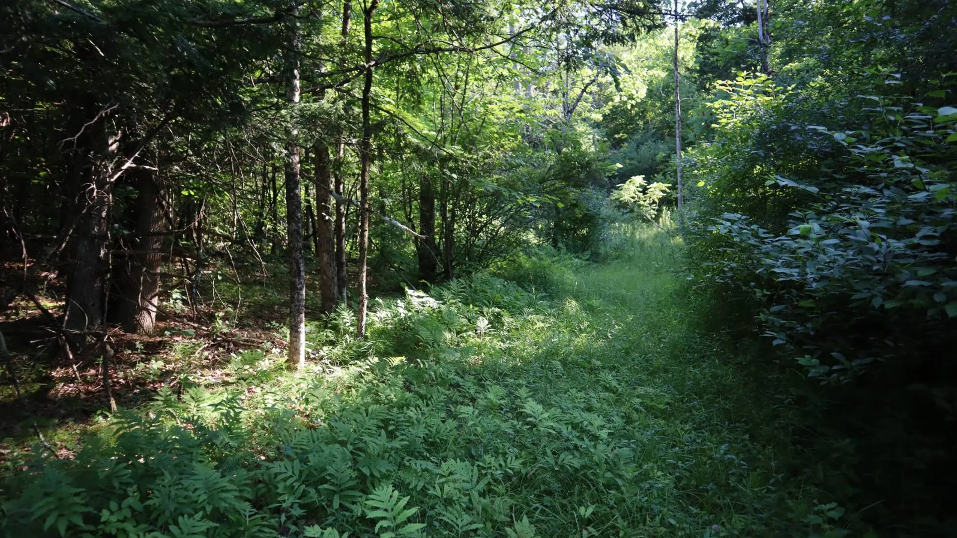 Property at 256 Ryder Rd, Whitehall, NY 12887 75