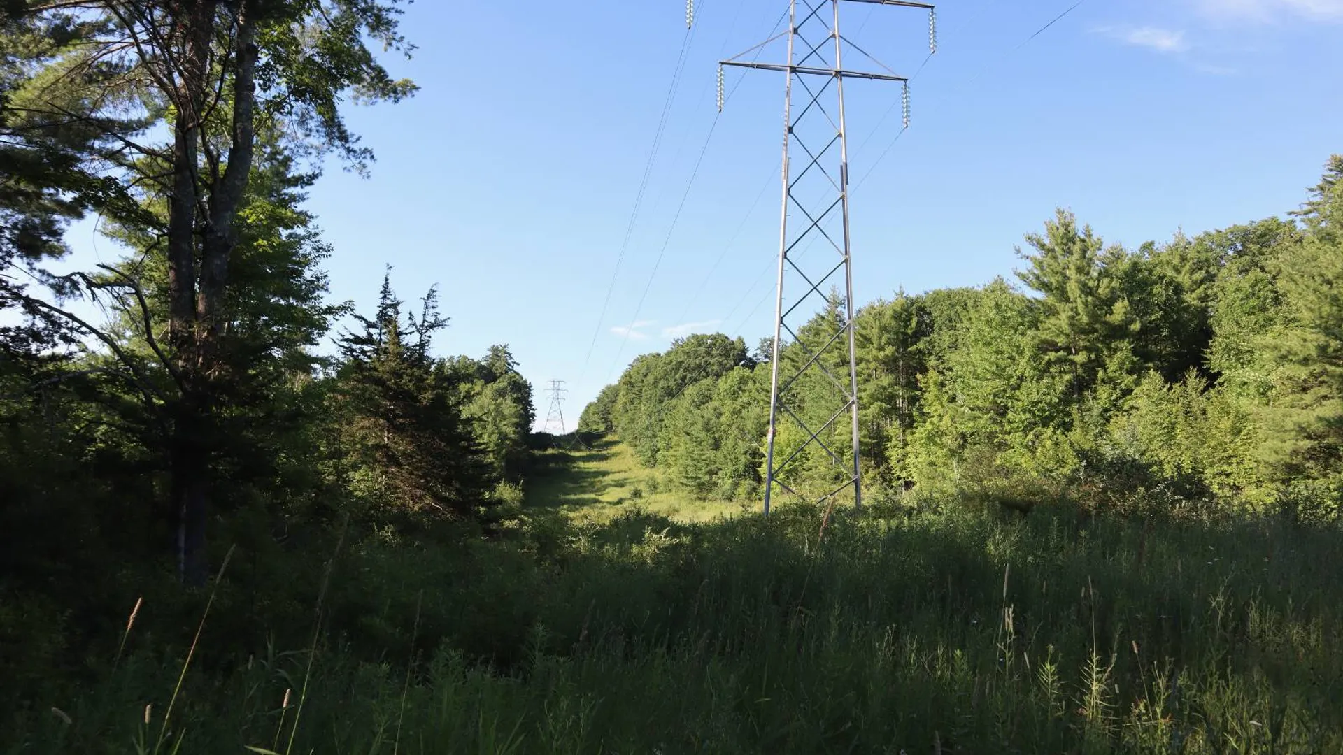 Property at 256 Ryder Rd, Whitehall, NY 12887 83