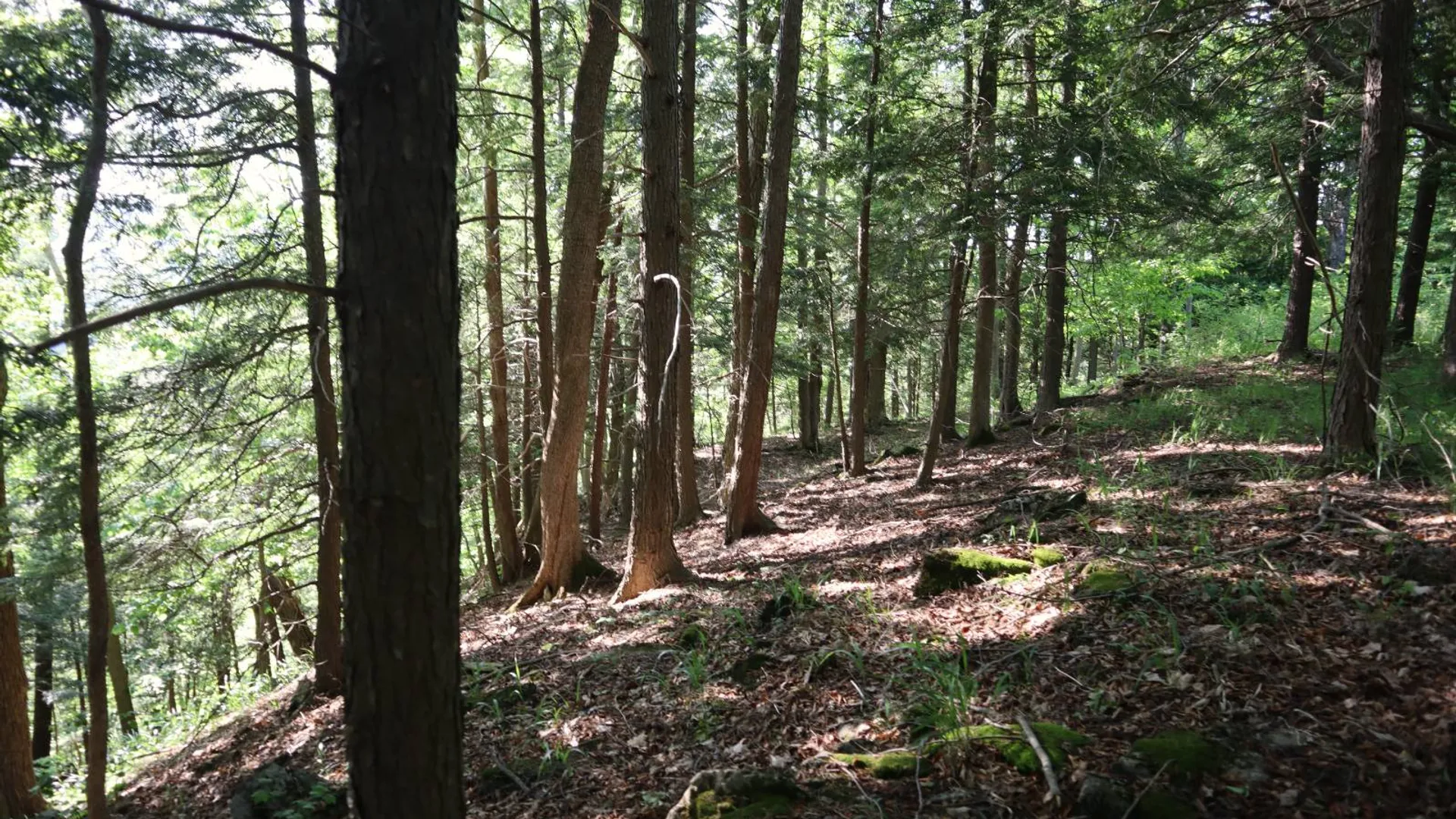 Property at 256 Ryder Rd, Whitehall, NY 12887 90