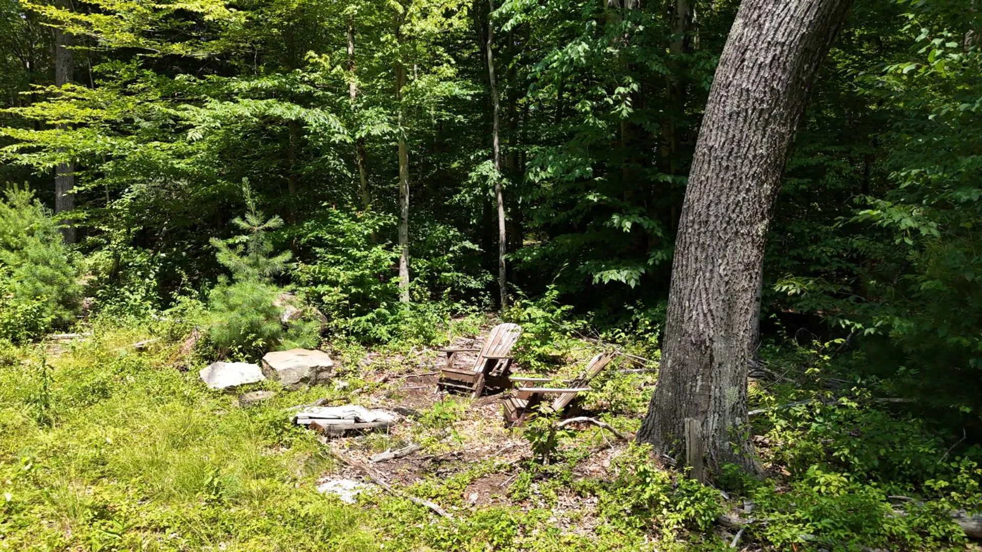 Property at 8444 Whiskey Island Rd, Vienna, NY 13316 17
