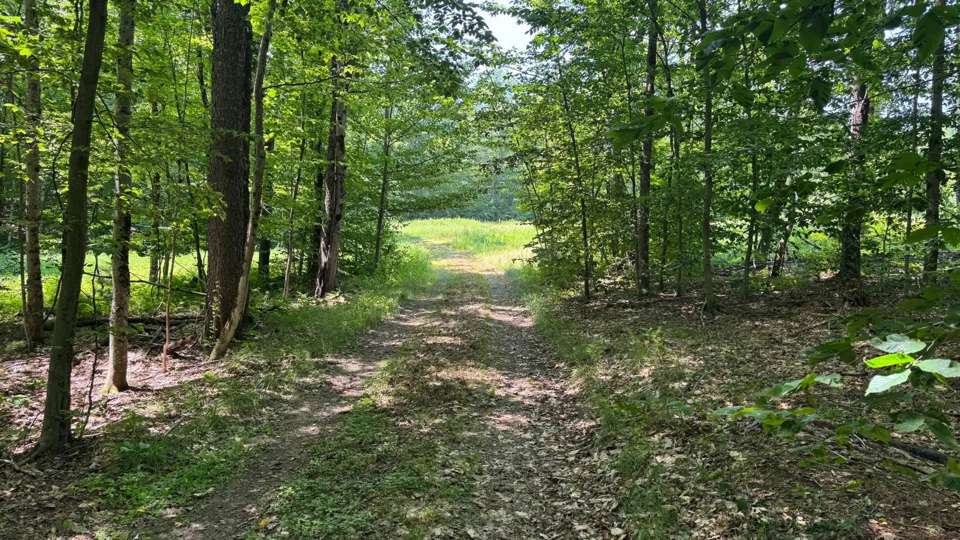 Property at 8444 Whiskey Island Rd, Vienna, NY 13316 25