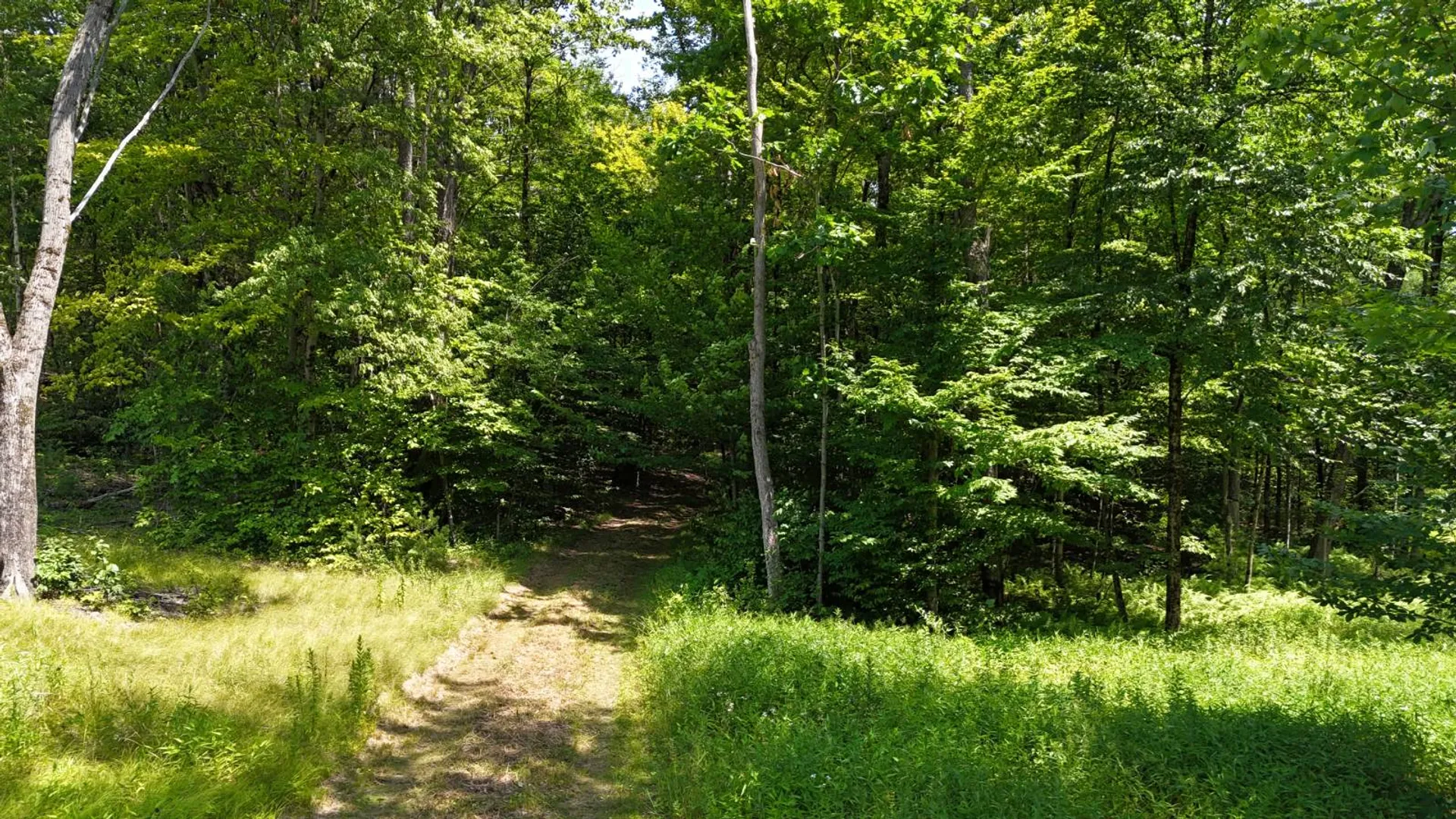 Property at 8444 Whiskey Island Rd, Vienna, NY 13316 7