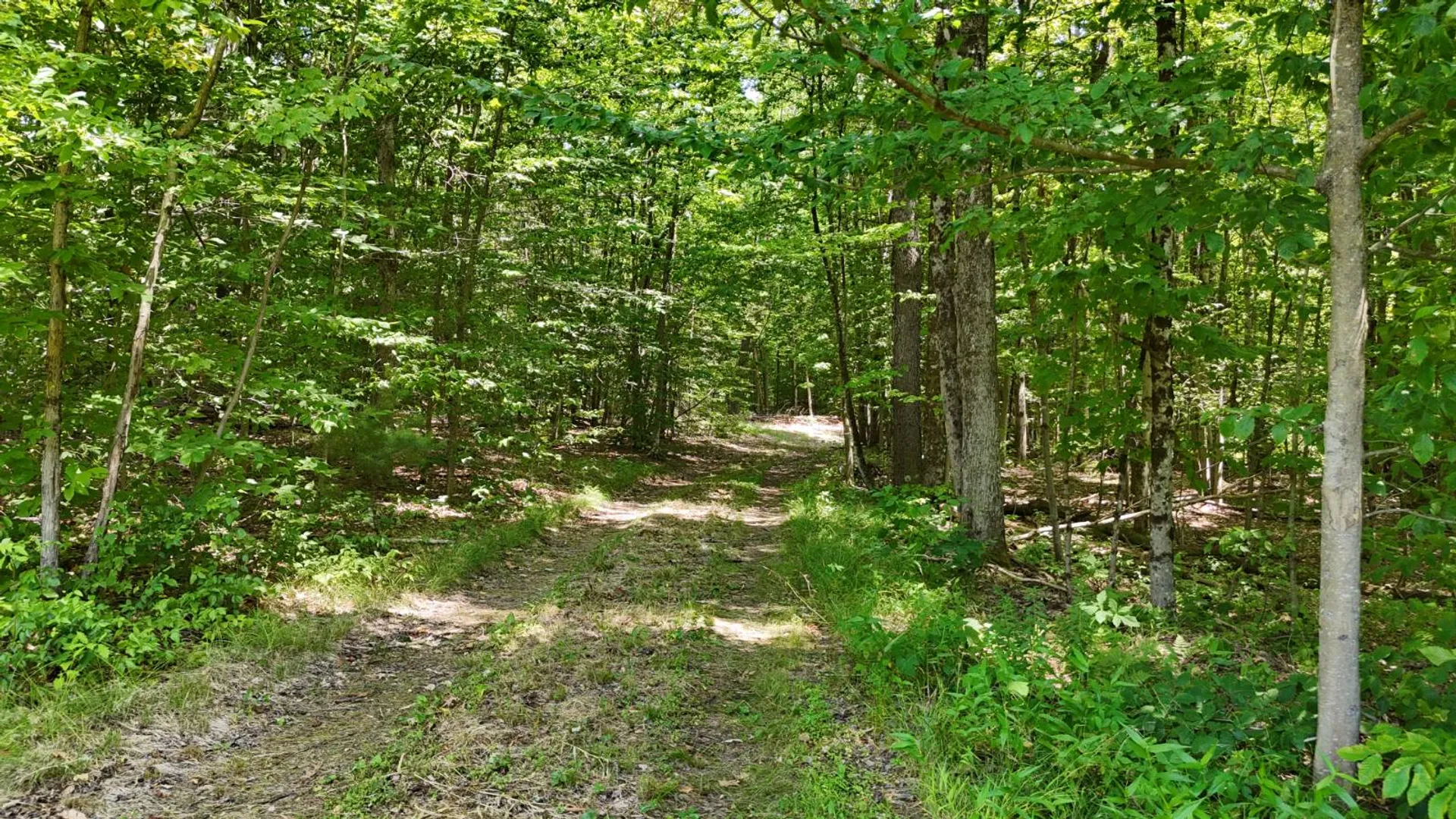 Property at 8444 Whiskey Island Rd, Vienna, NY 13316 8