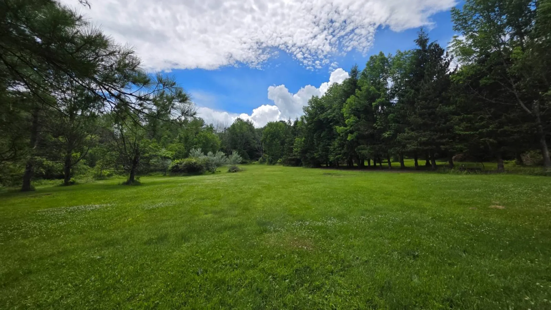 Property at 419 Halbert Hill Rd, Gilbertsville, NY 13776 37