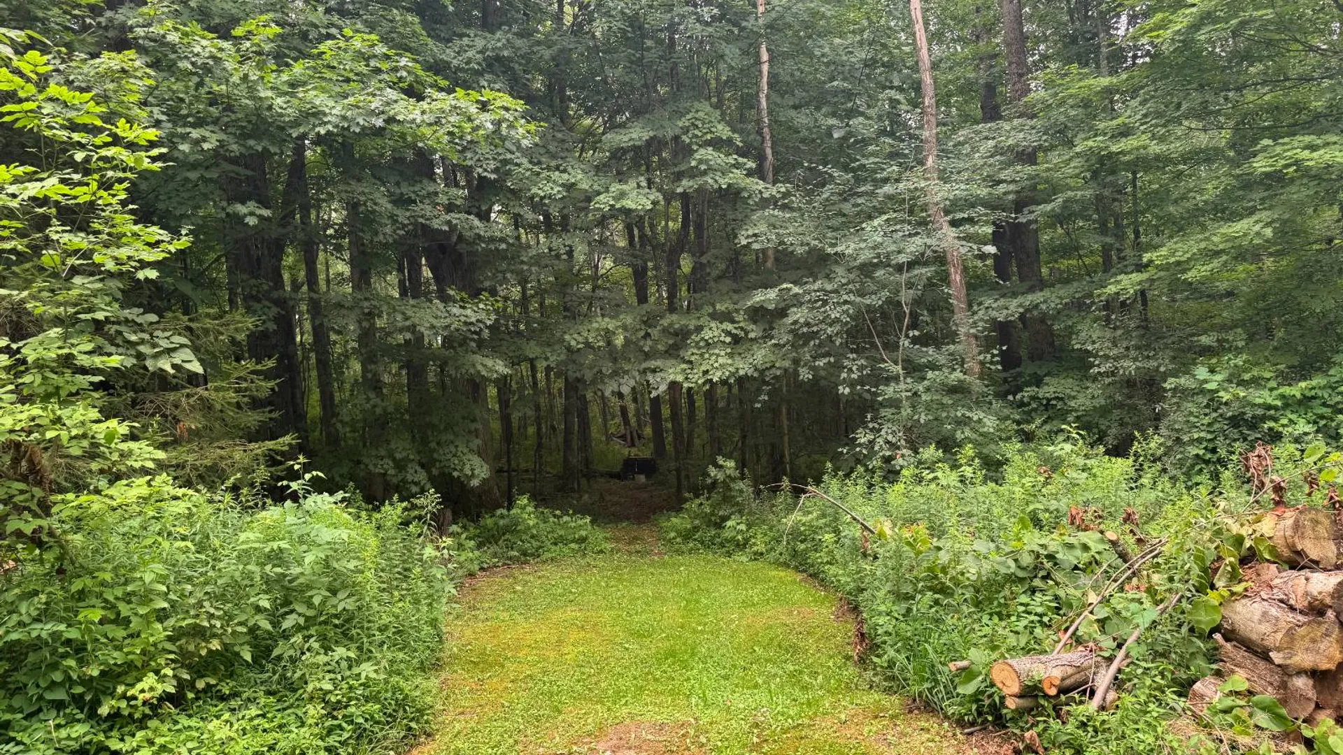 Property at 00 Deer Meadows Subd, Smyrna, NY 13464 25