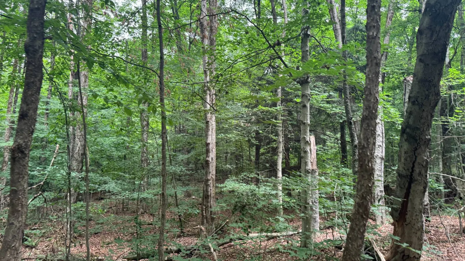 Property at 00 Deer Meadows Subd, Smyrna, NY 13464 26