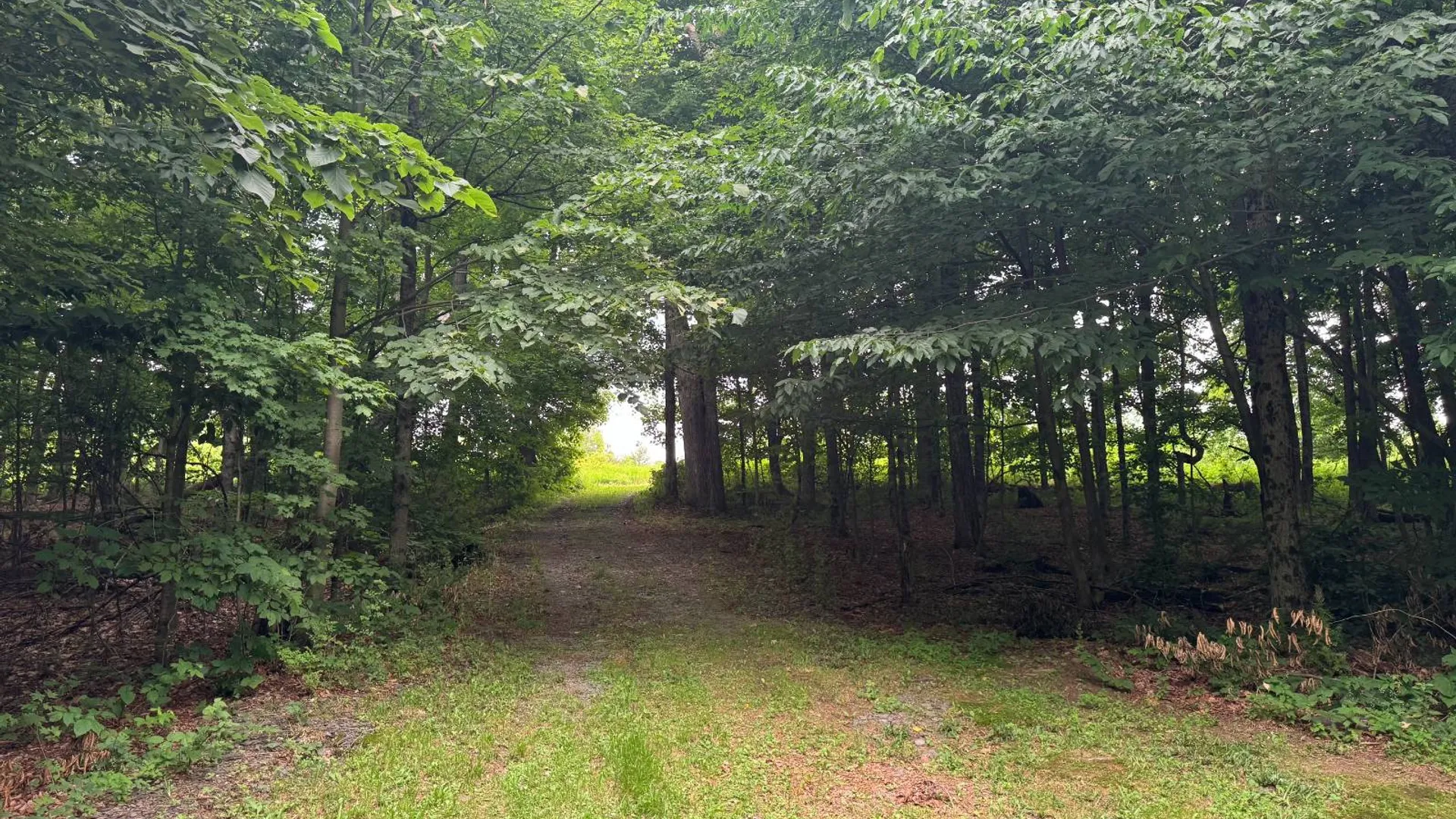 Property at 00 Deer Meadows Subd, Smyrna, NY 13464 28