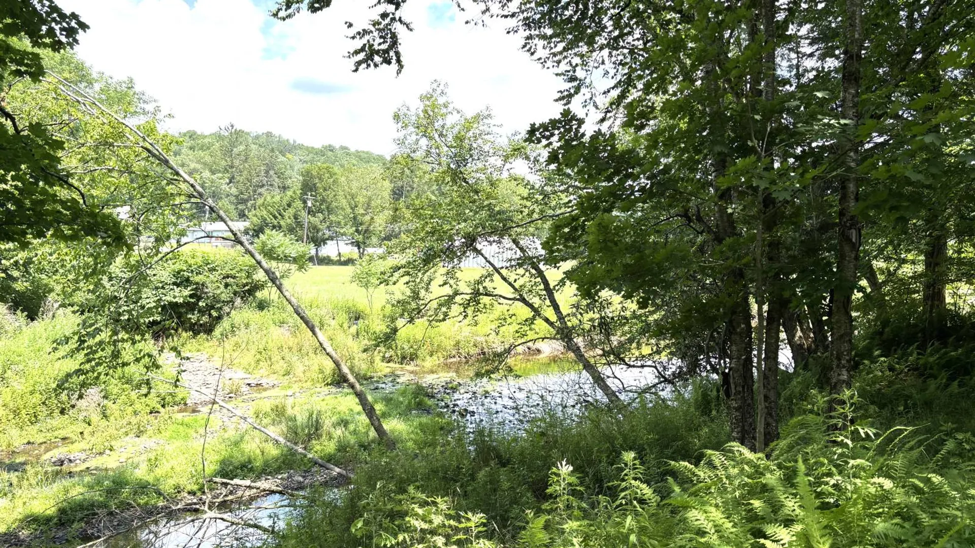Property at 63 Cape Road, Youngsville, NY 12791 44