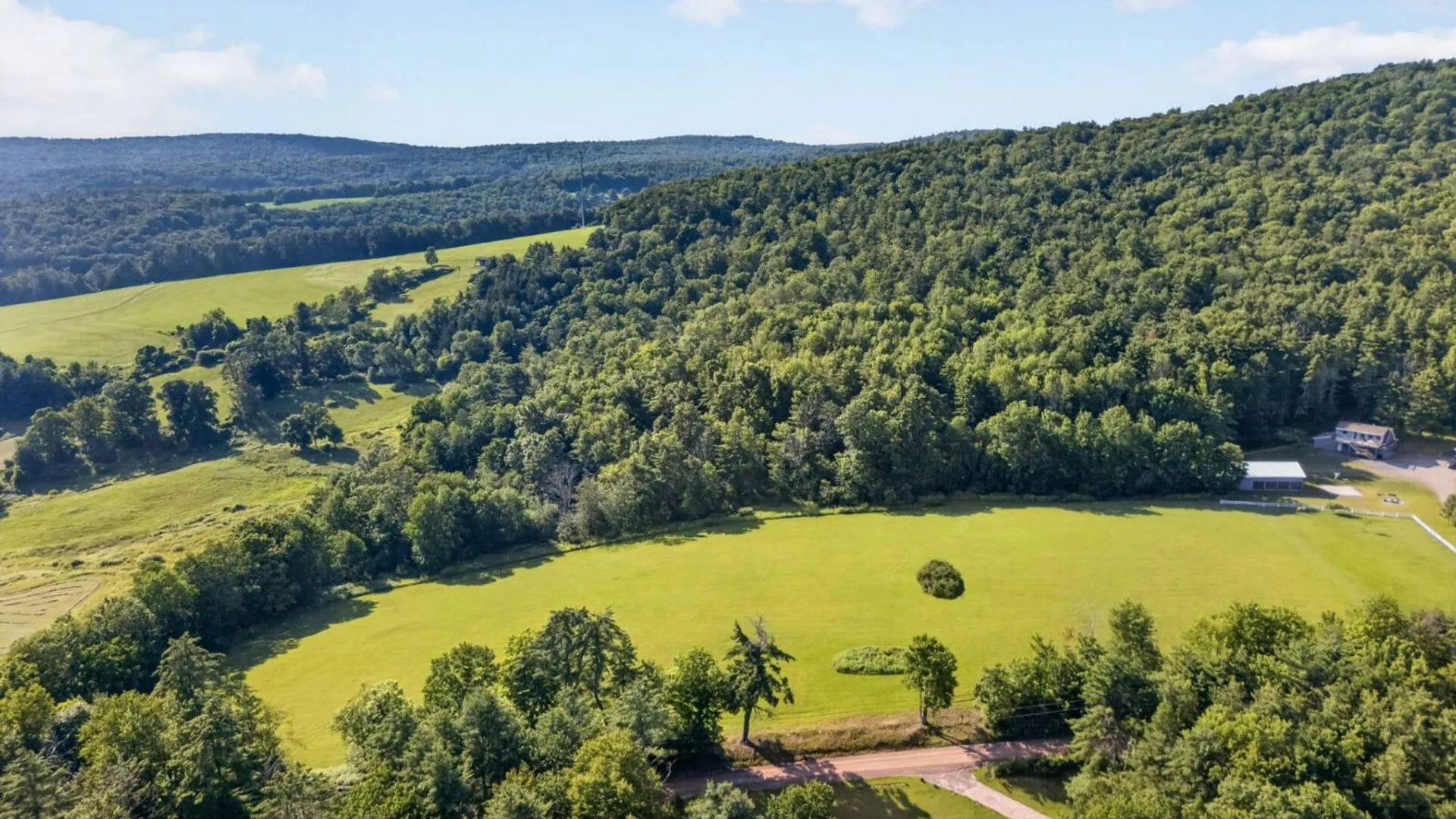 Property at L1 Grange Hall Rd, Franklin, NY 13820 5