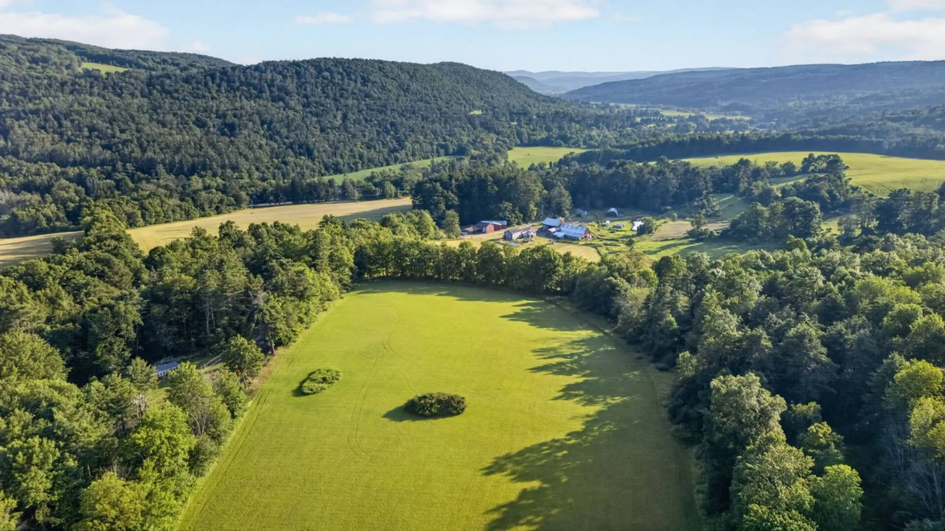 Property at L1 Grange Hall Rd, Franklin, NY 13820 7