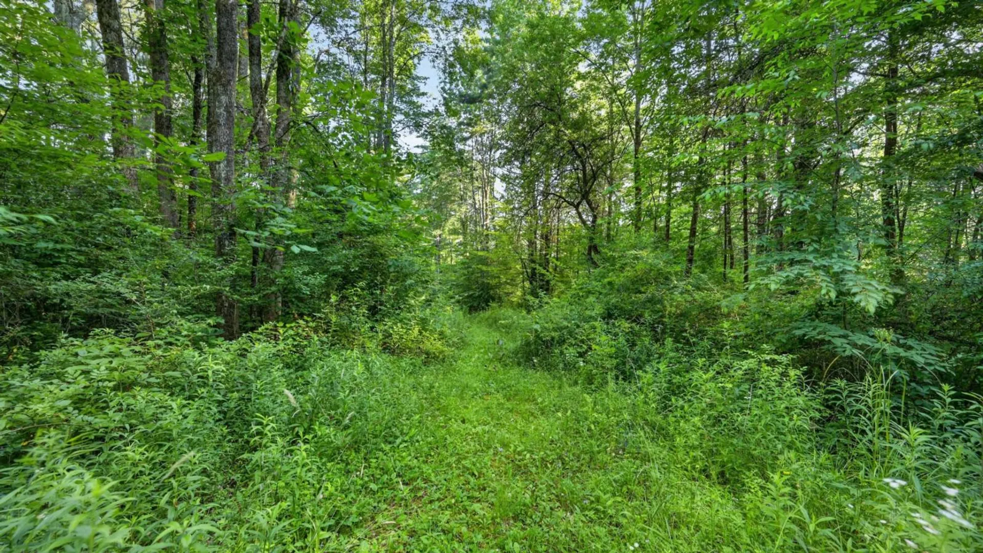 Property at L1 Grange Hall Rd, Franklin, NY 13820 10