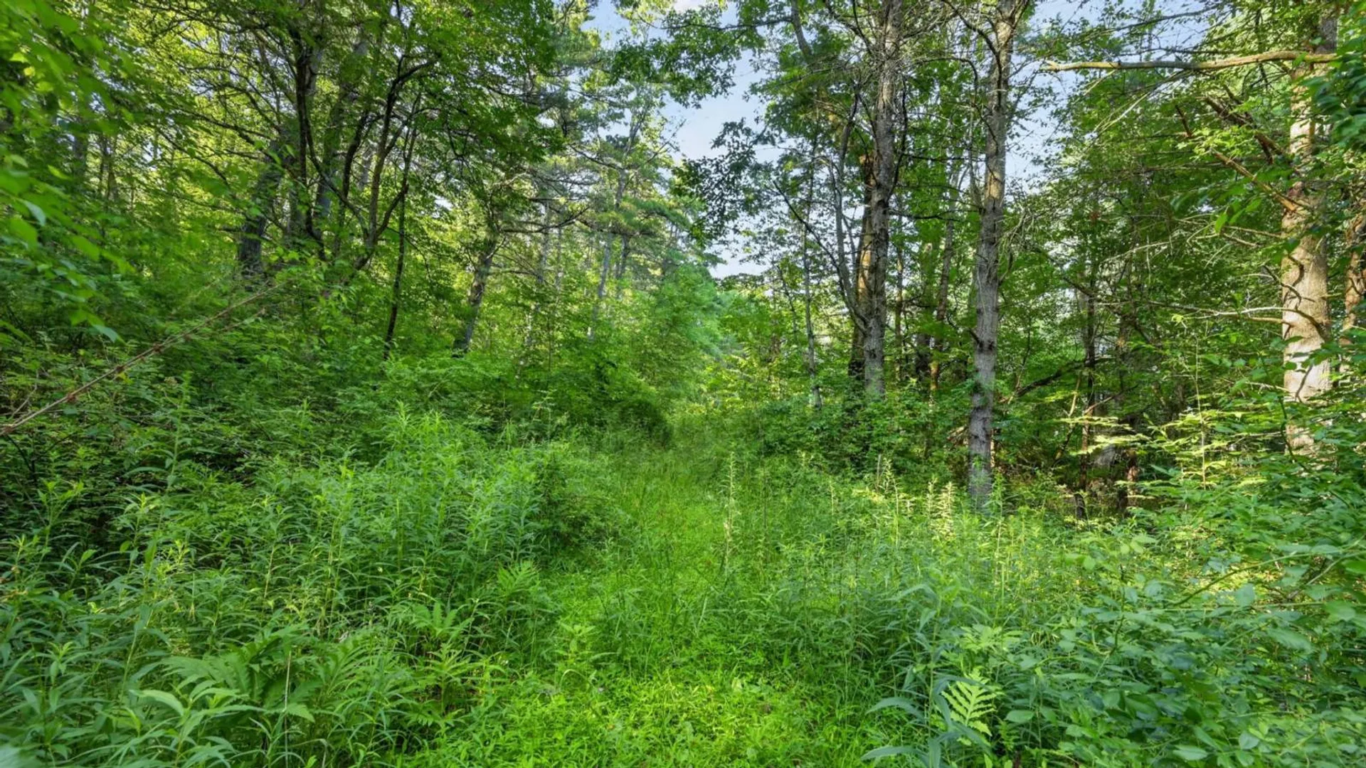 Property at L1 Grange Hall Rd, Franklin, NY 13820 11