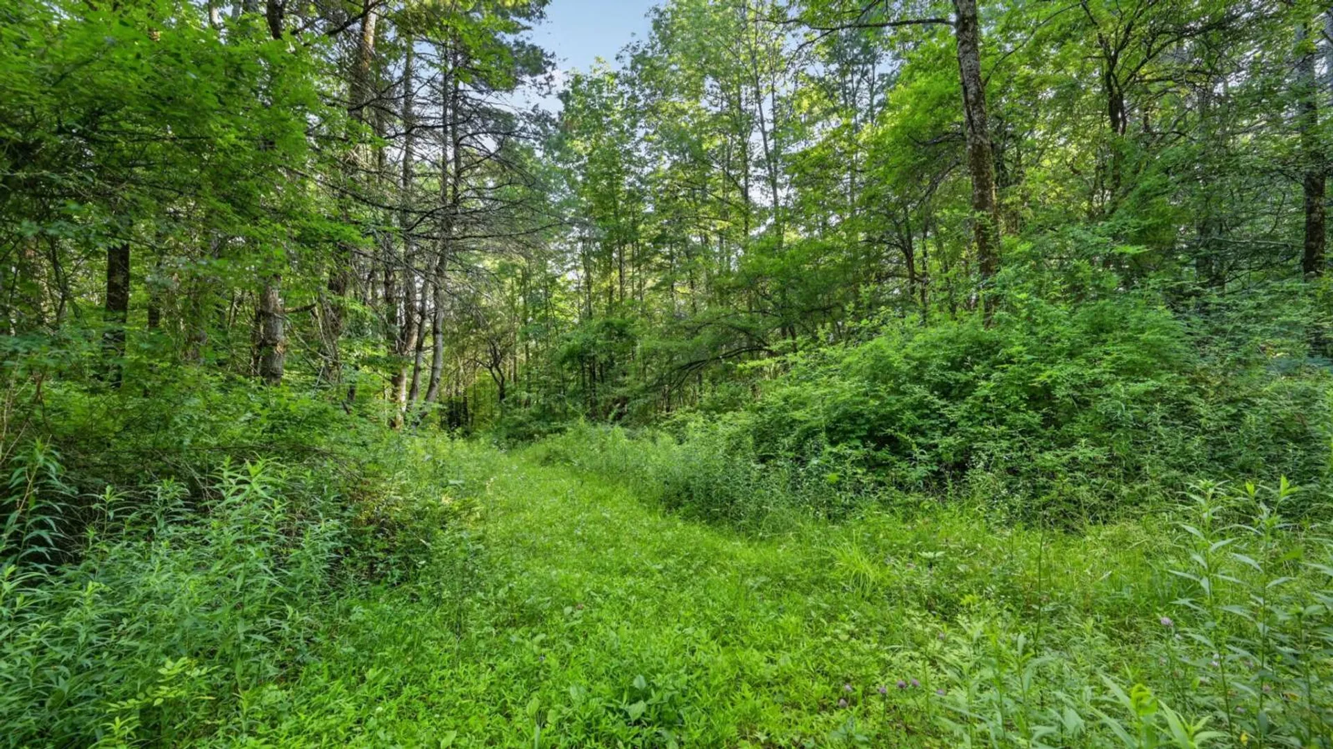 Property at L1 Grange Hall Rd, Franklin, NY 13820 12