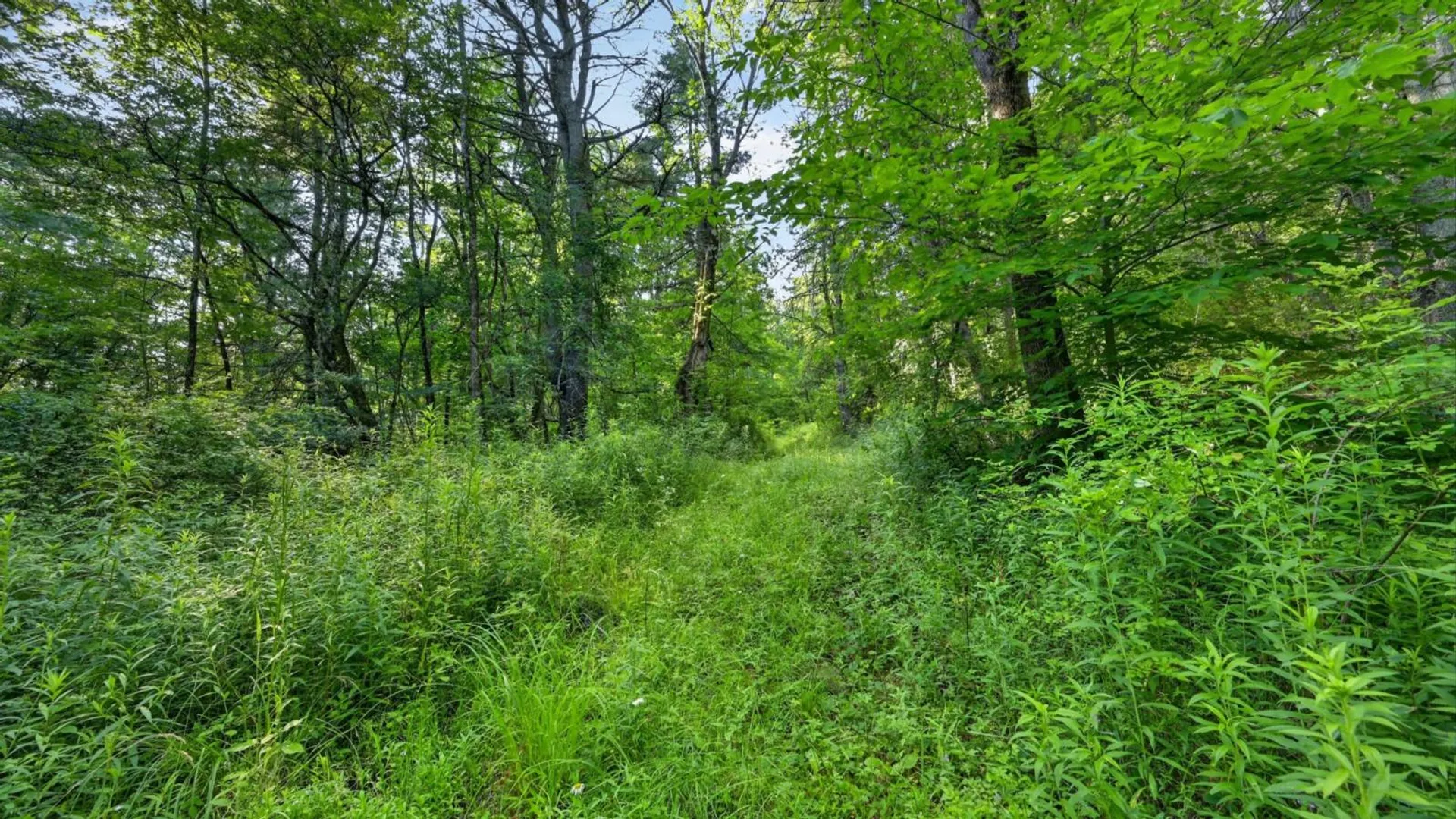 Property at L1 Grange Hall Rd, Franklin, NY 13820 13