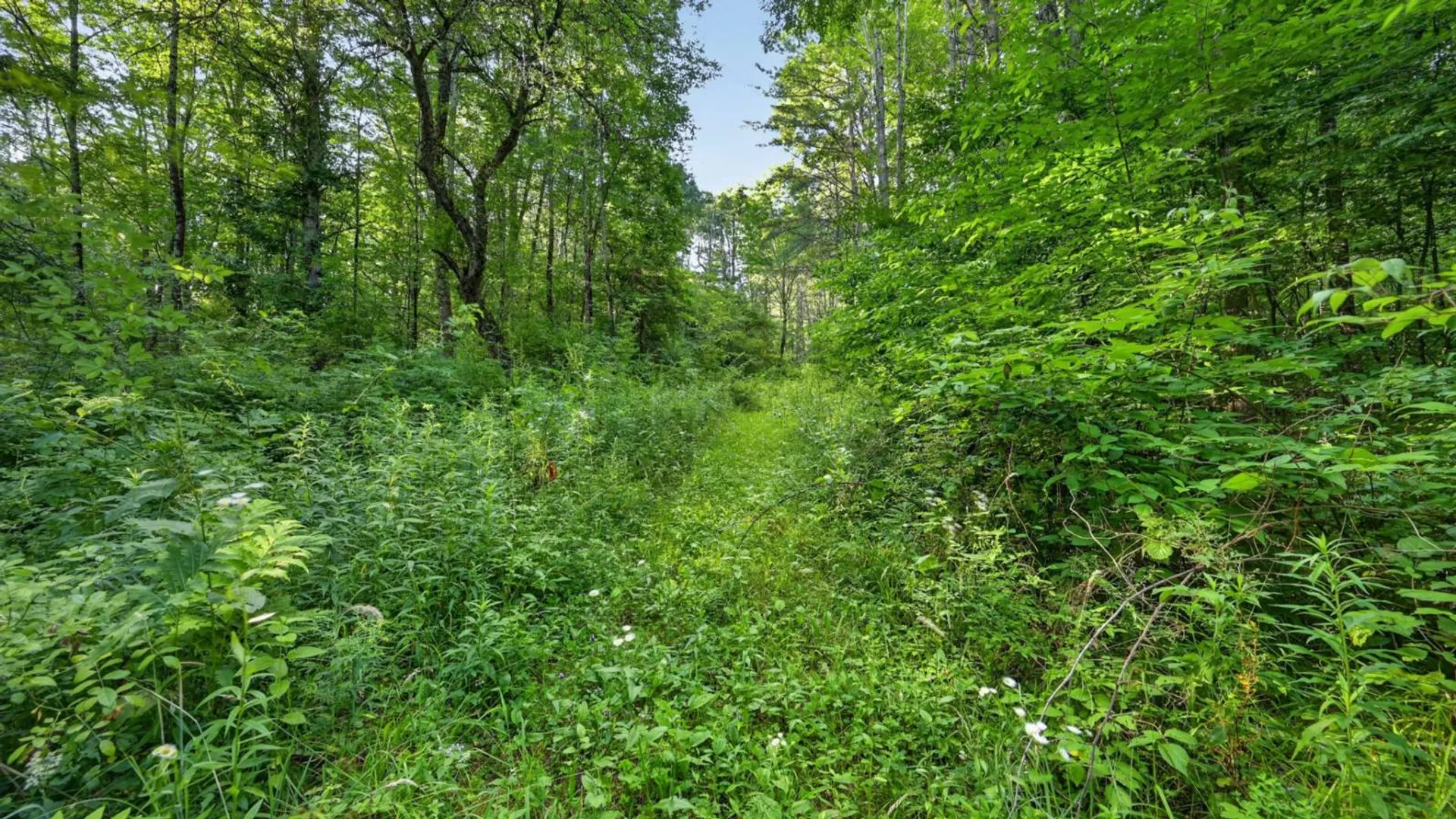 Property at L1 Grange Hall Rd, Franklin, NY 13820 14
