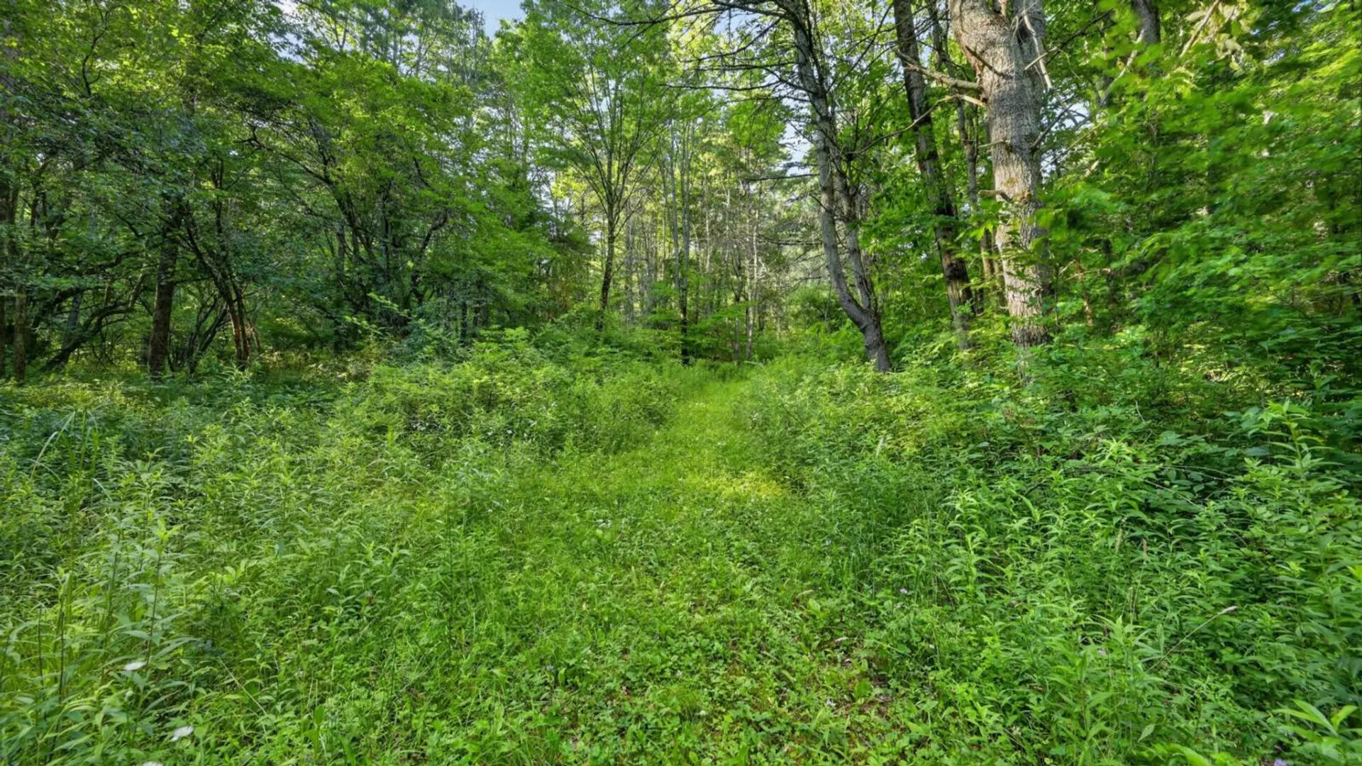 Property at L1 Grange Hall Rd, Franklin, NY 13820 16