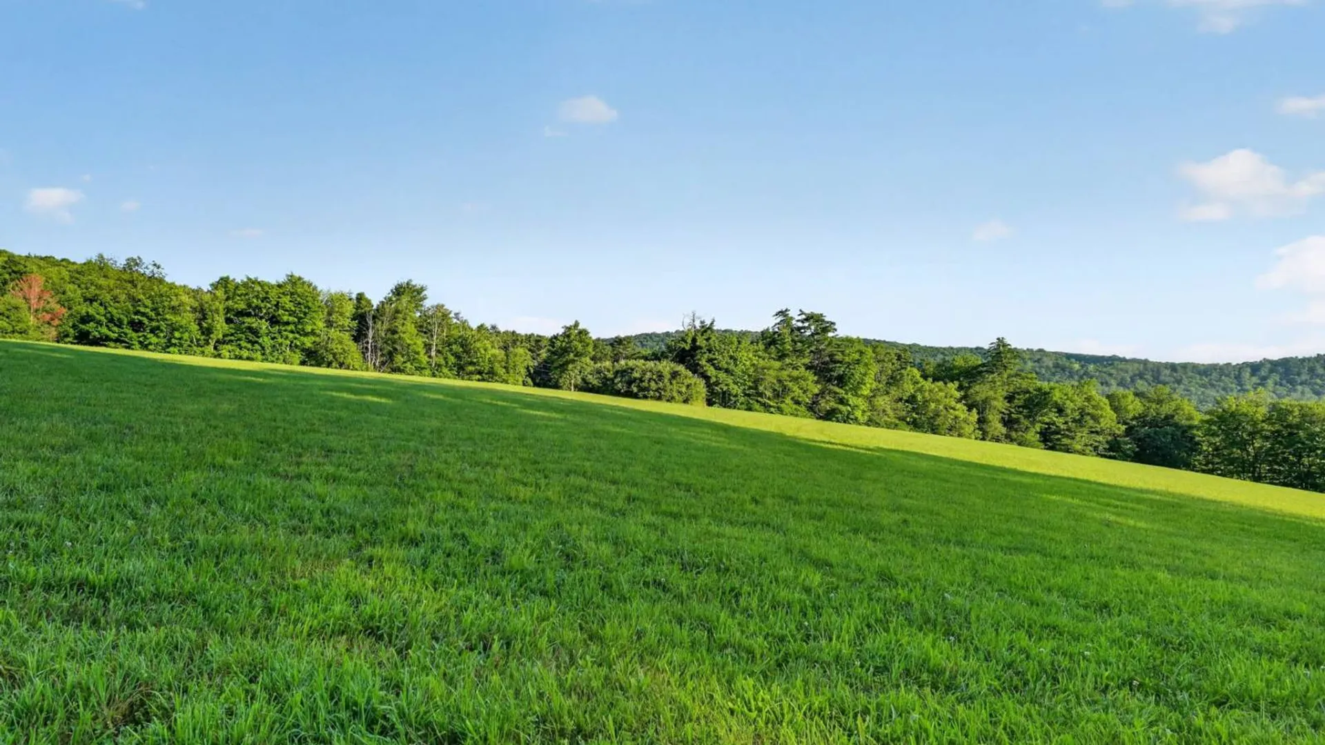 Property at L1 Grange Hall Rd, Franklin, NY 13820 17