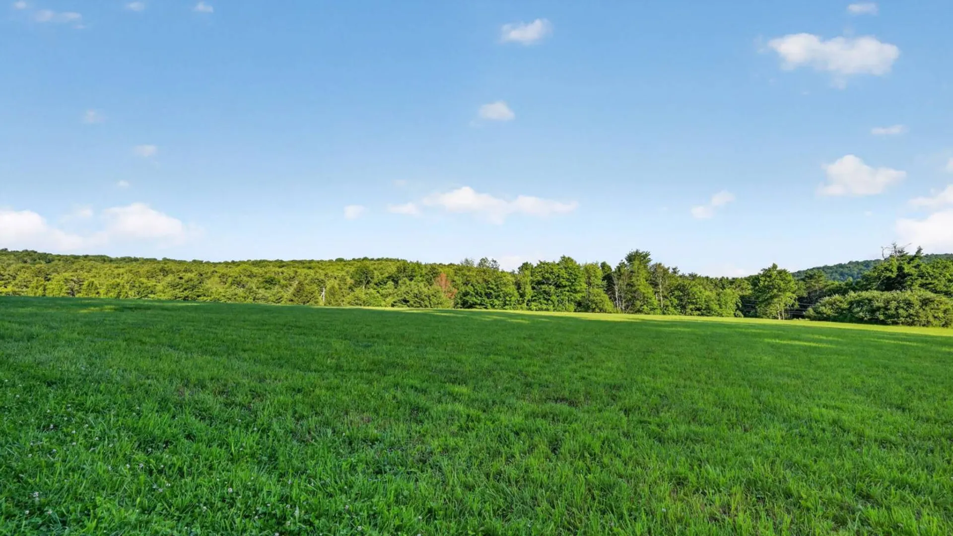 Property at L1 Grange Hall Rd, Franklin, NY 13820 18