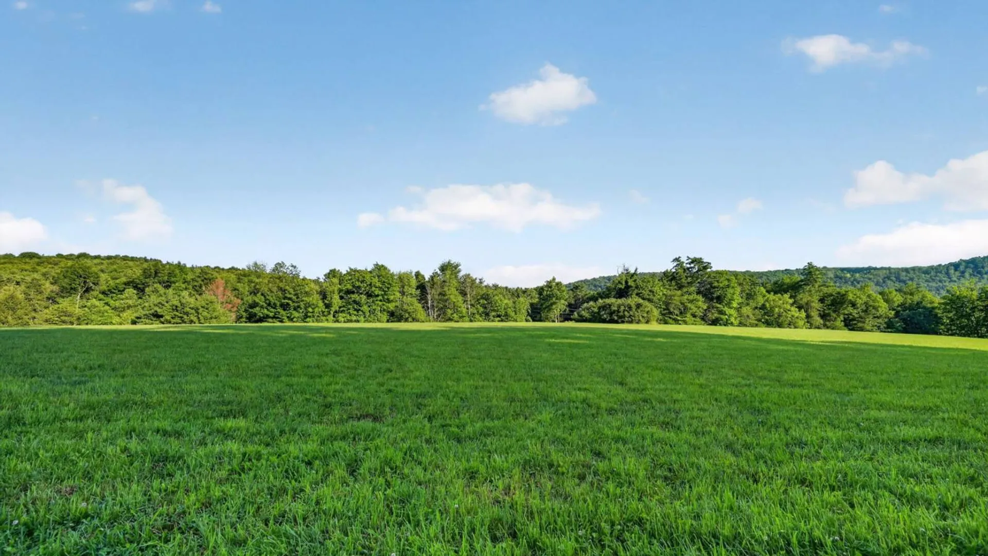 Property at L1 Grange Hall Rd, Franklin, NY 13820 19