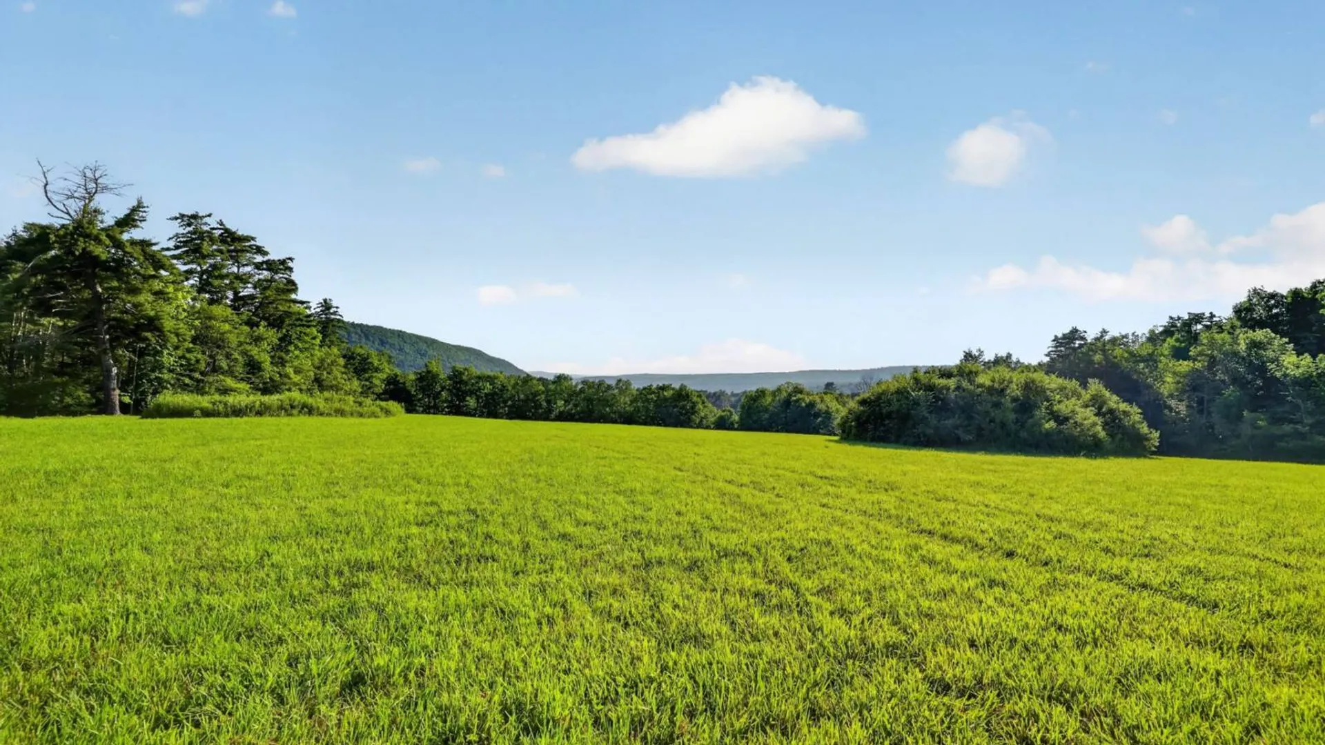 Property at L1 Grange Hall Rd, Franklin, NY 13820 22
