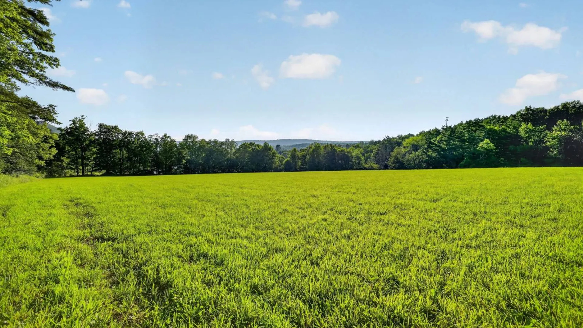 Property at L1 Grange Hall Rd, Franklin, NY 13820 25