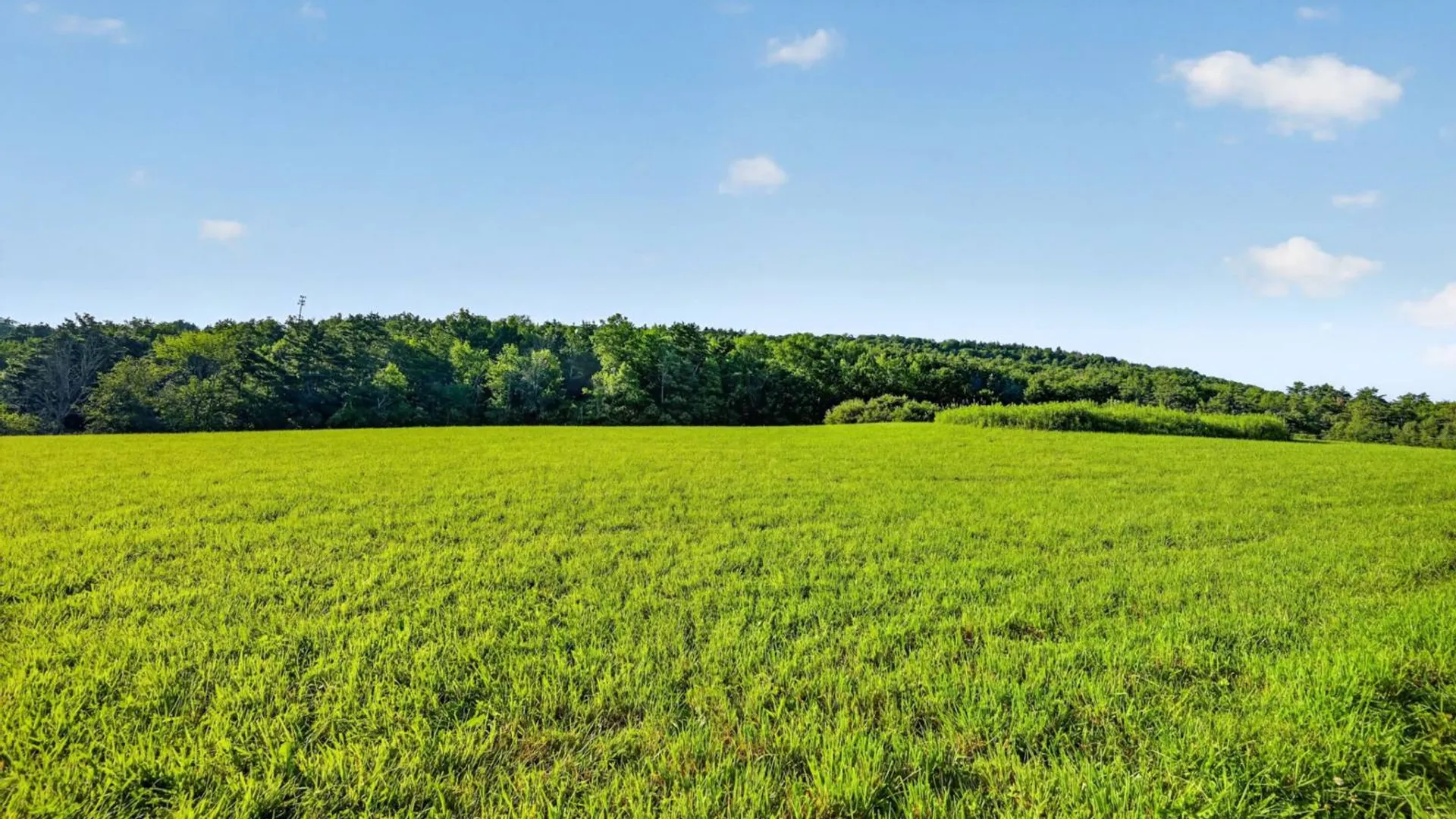 Property at L1 Grange Hall Rd, Franklin, NY 13820 27