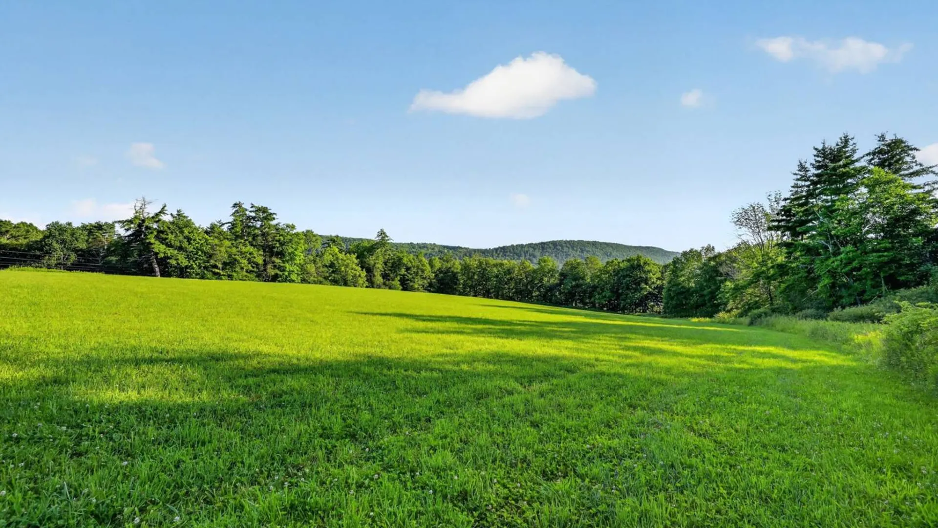 Property at L1 Grange Hall Rd, Franklin, NY 13820 31
