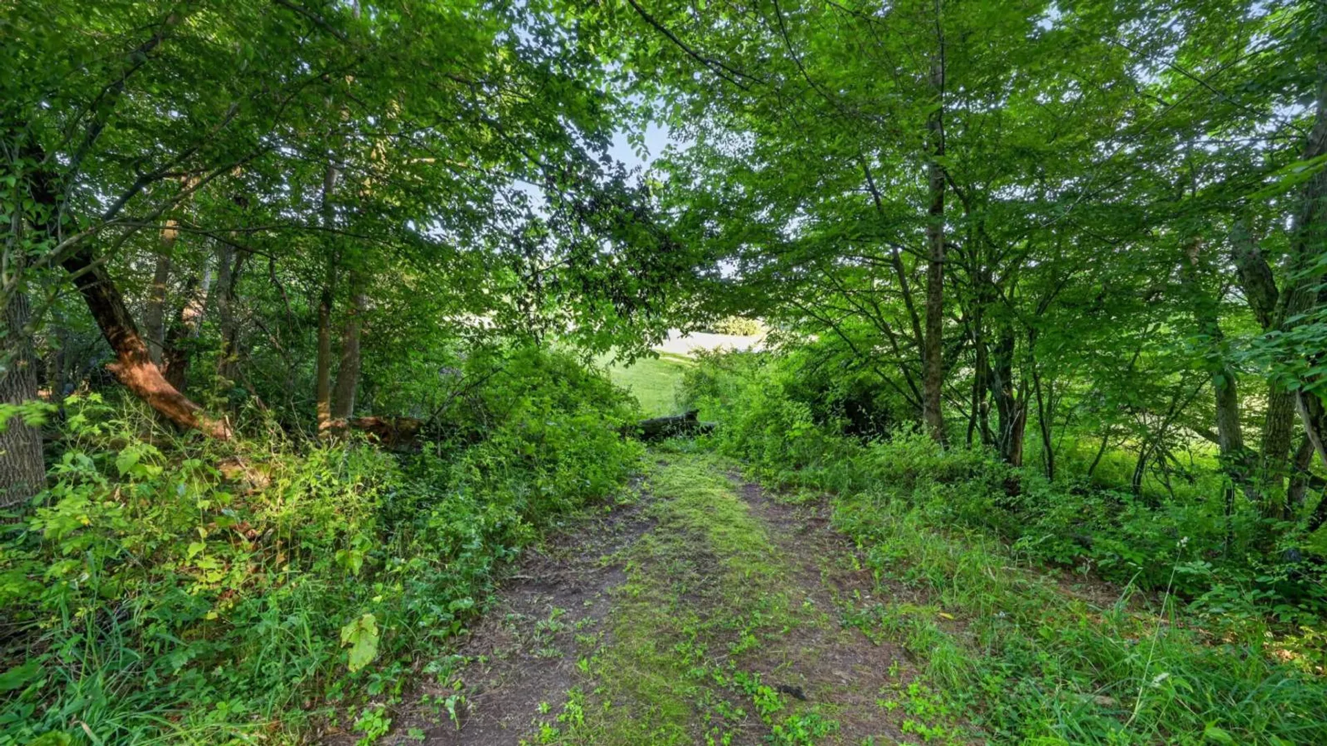 Property at L1 Grange Hall Rd, Franklin, NY 13820 34