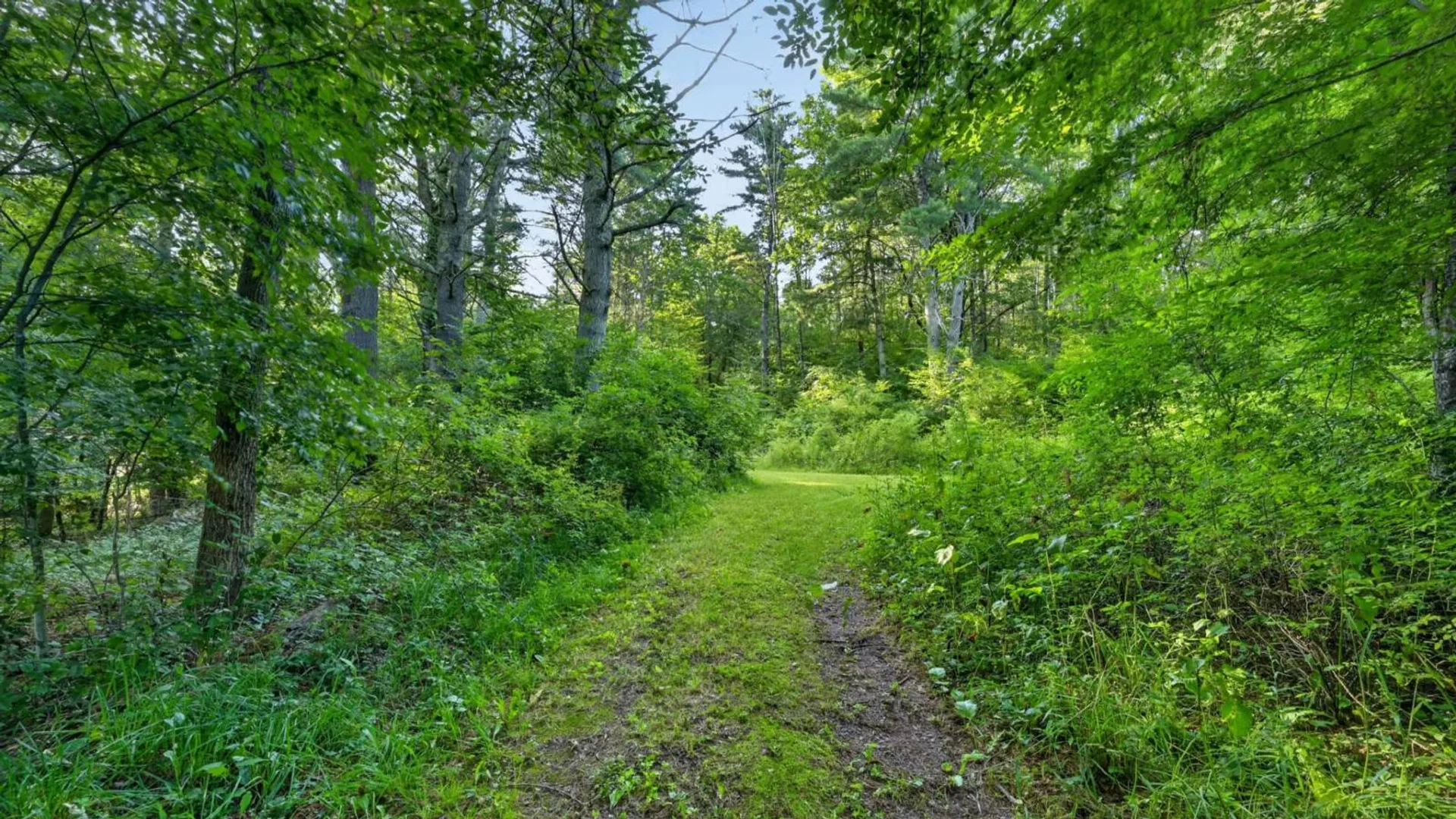 Property at L1 Grange Hall Rd, Franklin, NY 13820 37