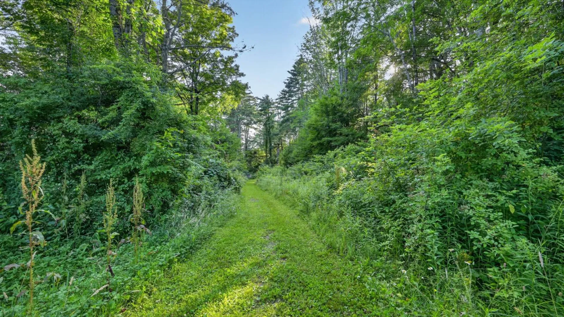 Property at L1 Grange Hall Rd, Franklin, NY 13820 38