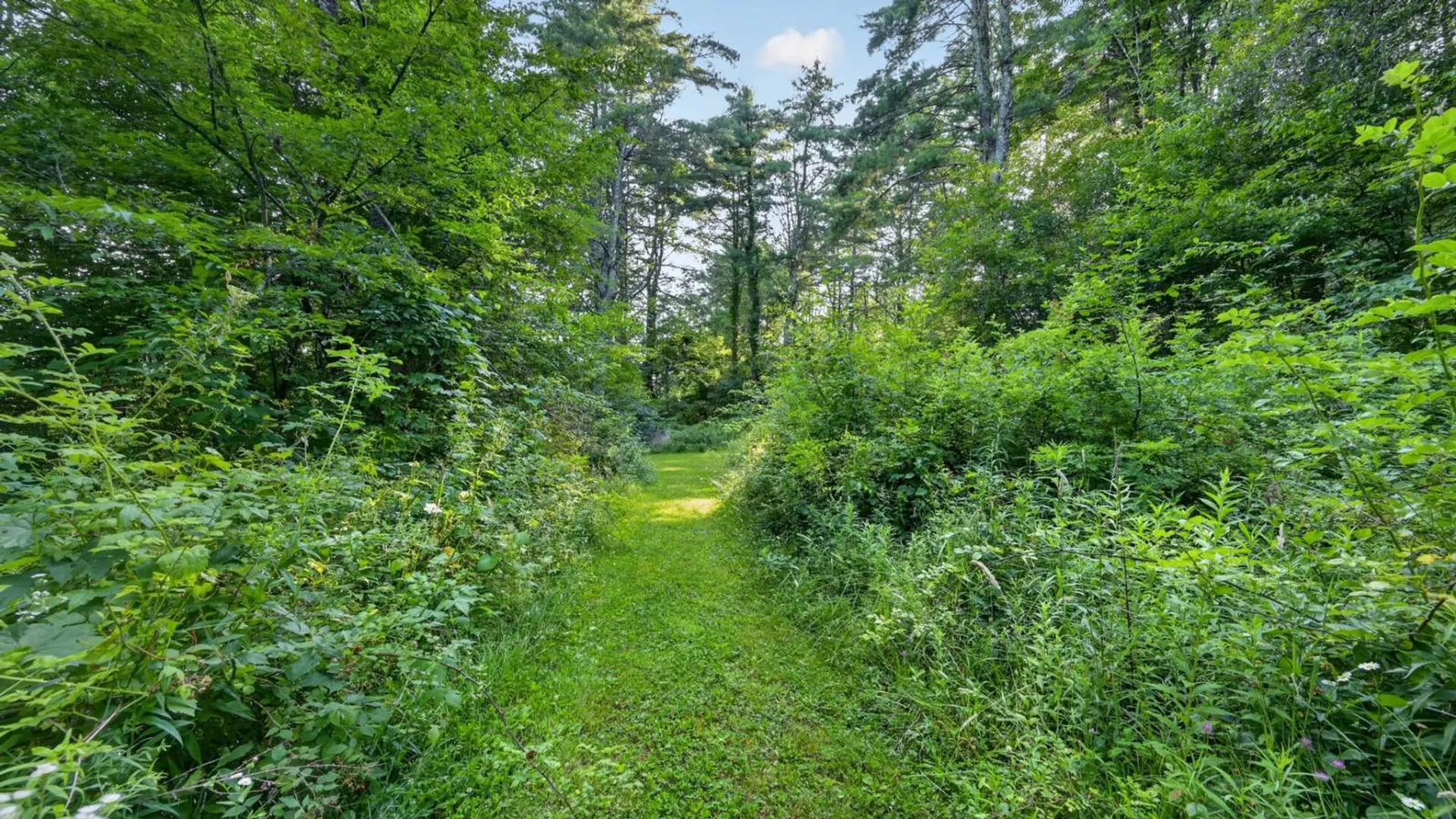 Property at L1 Grange Hall Rd, Franklin, NY 13820 39