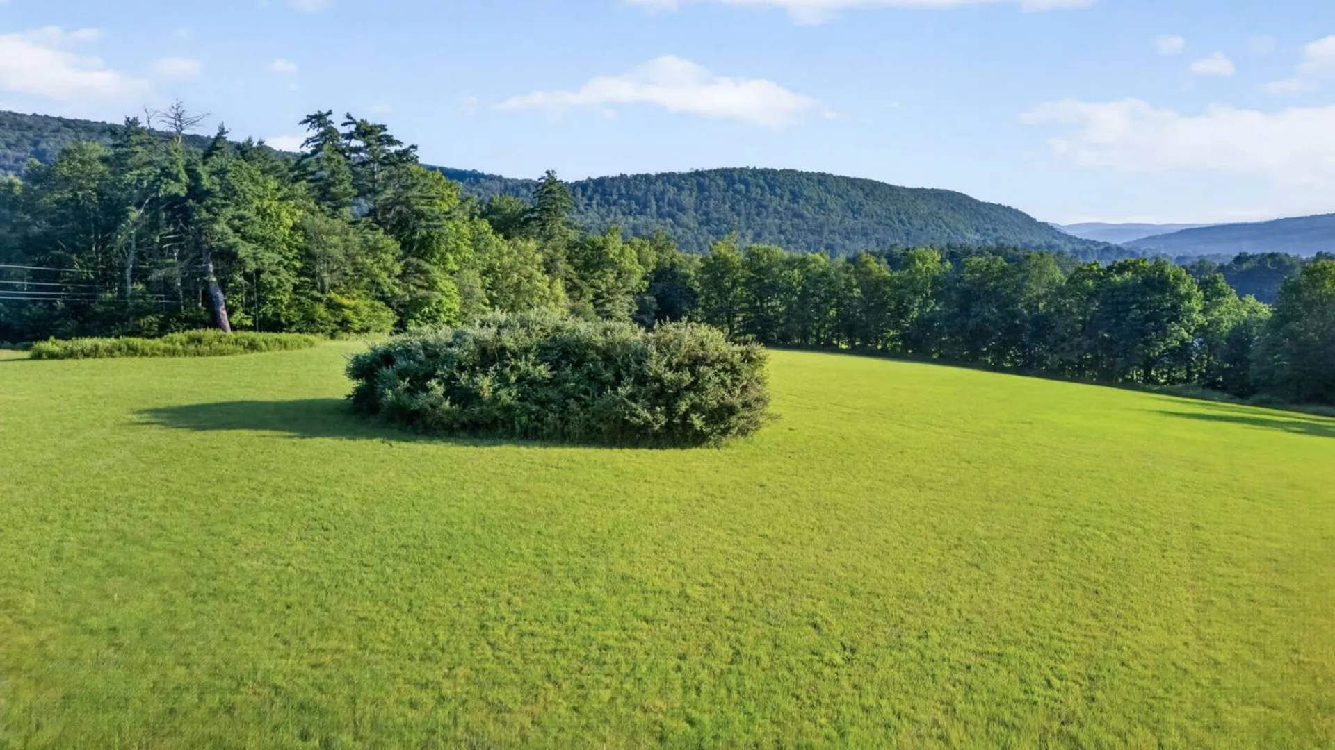 Property at L1 Grange Hall Rd, Franklin, NY 13820 42