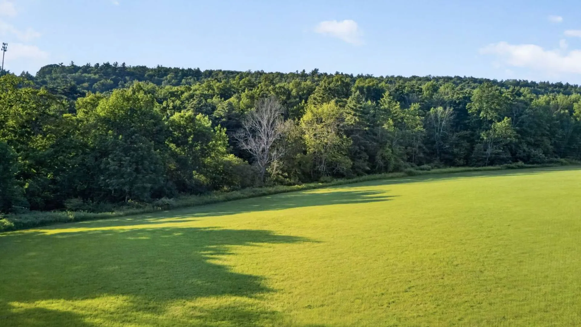 Property at L1 Grange Hall Rd, Franklin, NY 13820 43