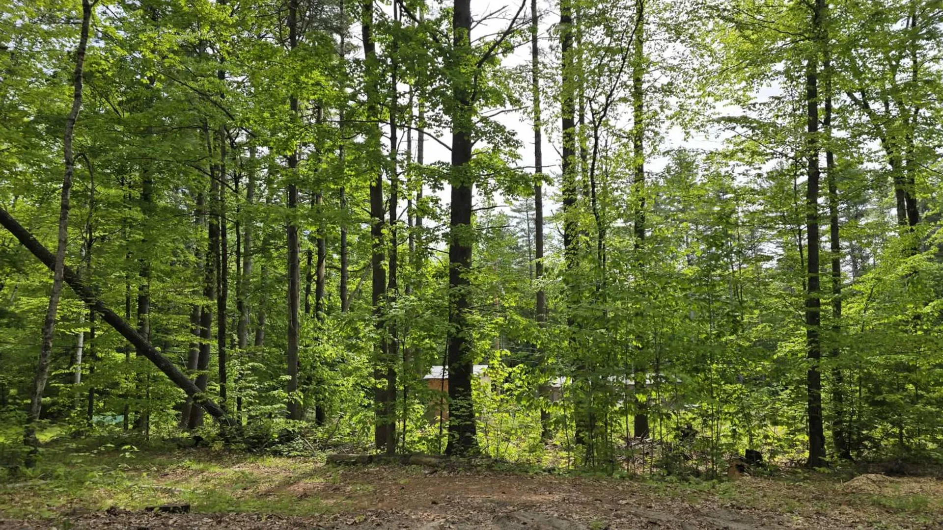 Property at 888 Landon Hill Rd, Pottersville, NY 12860 10