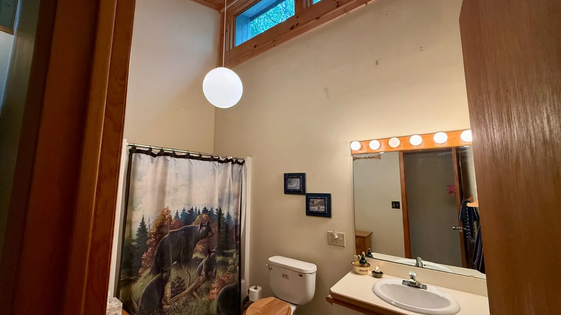 Property at 107 Lakeside Lane, Lake Pleasant, NY 12108 51