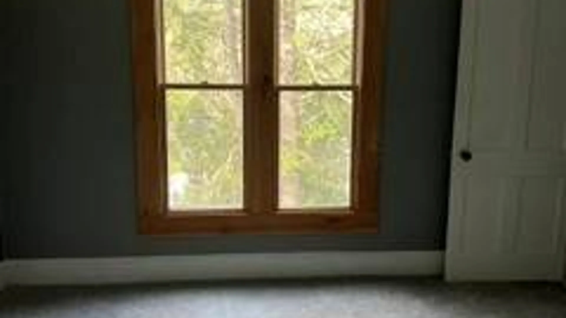 Property at 278 Main Street, Cooperstown, NY 13326 4