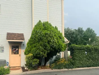 Property at 15 Phyllis Court, Staten Island, NY 10309