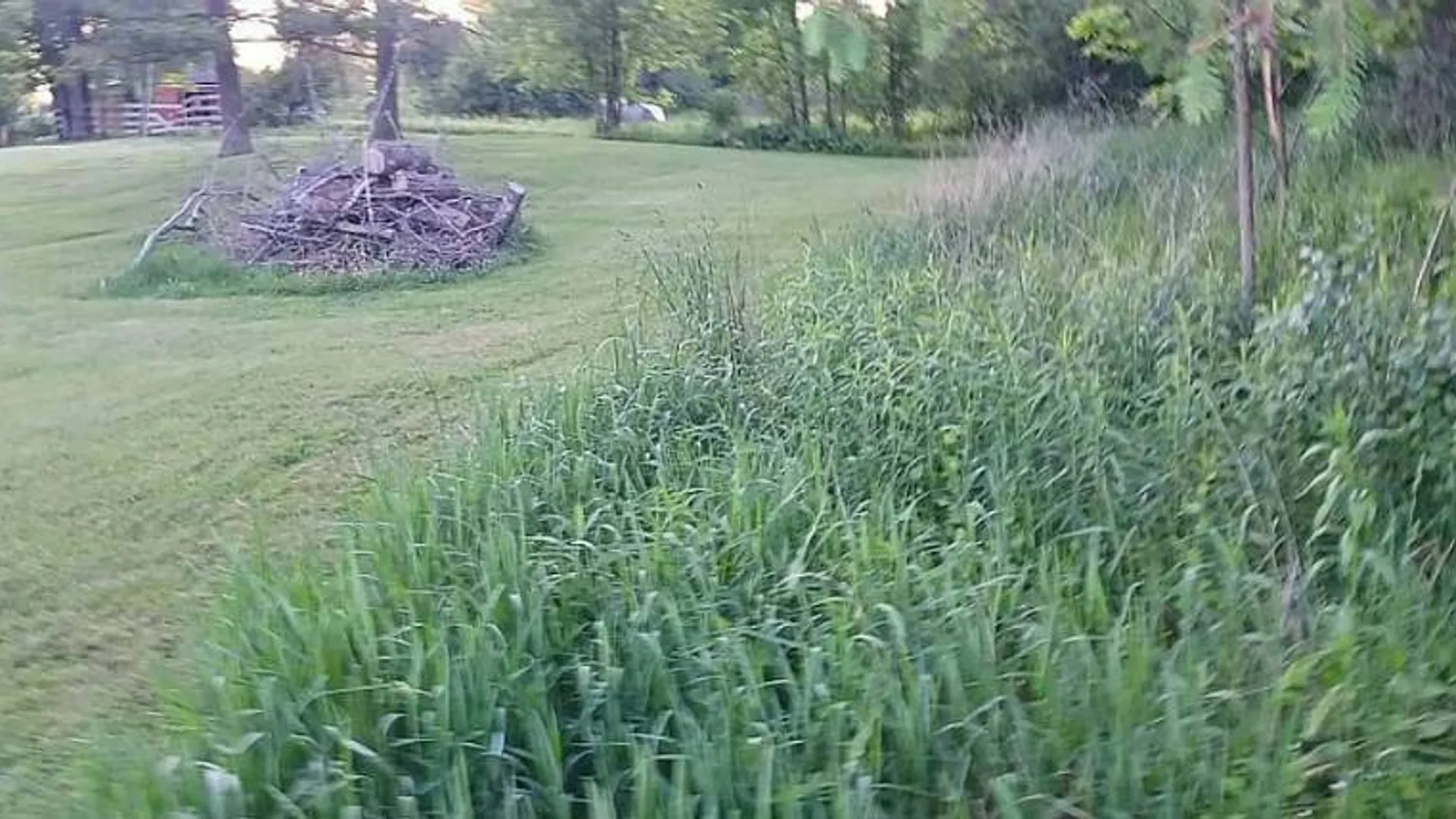Property at 5906 County Road 11, Alpine, NY 14805 24