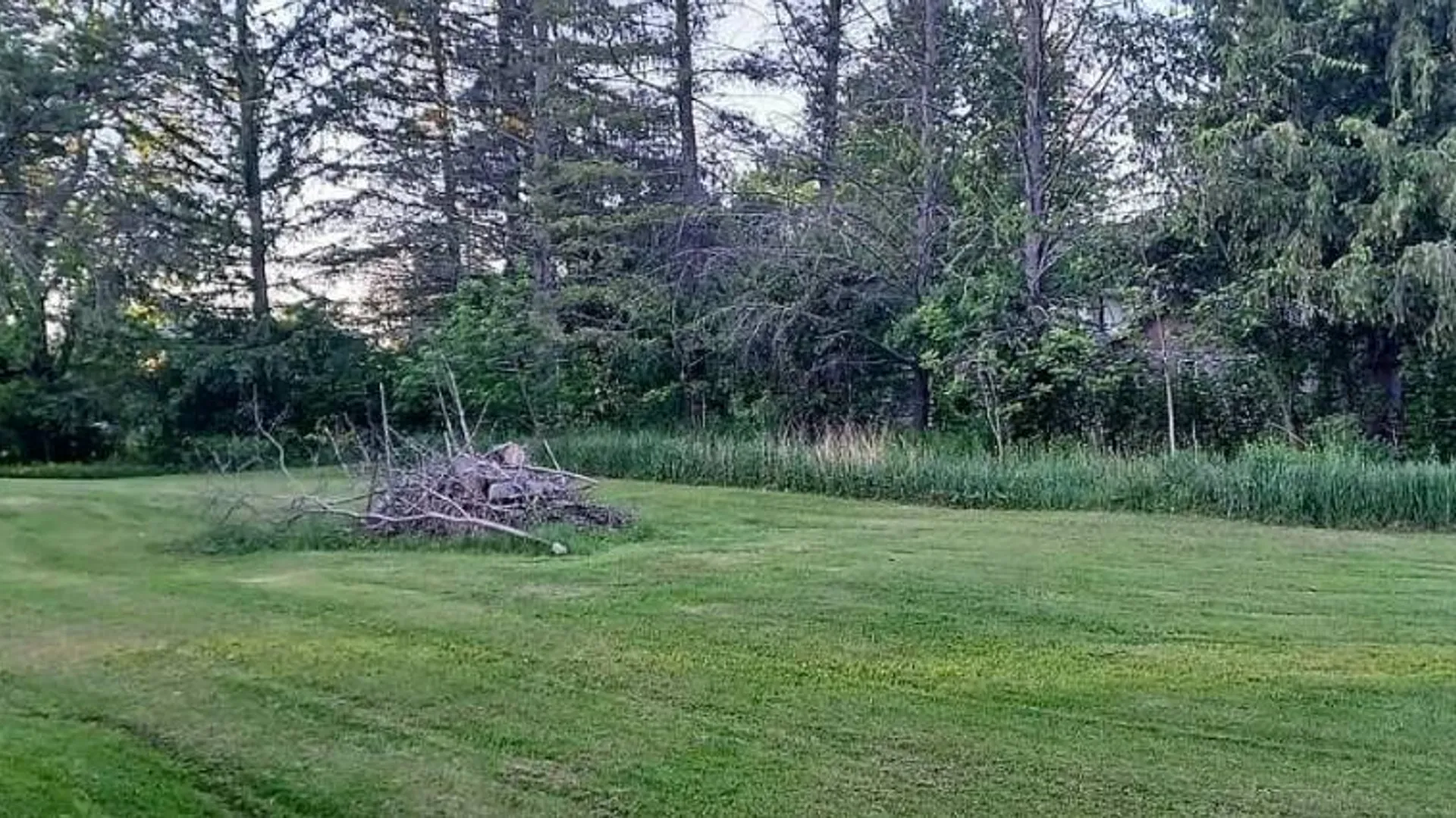 Property at 5906 County Road 11, Alpine, NY 14805 28