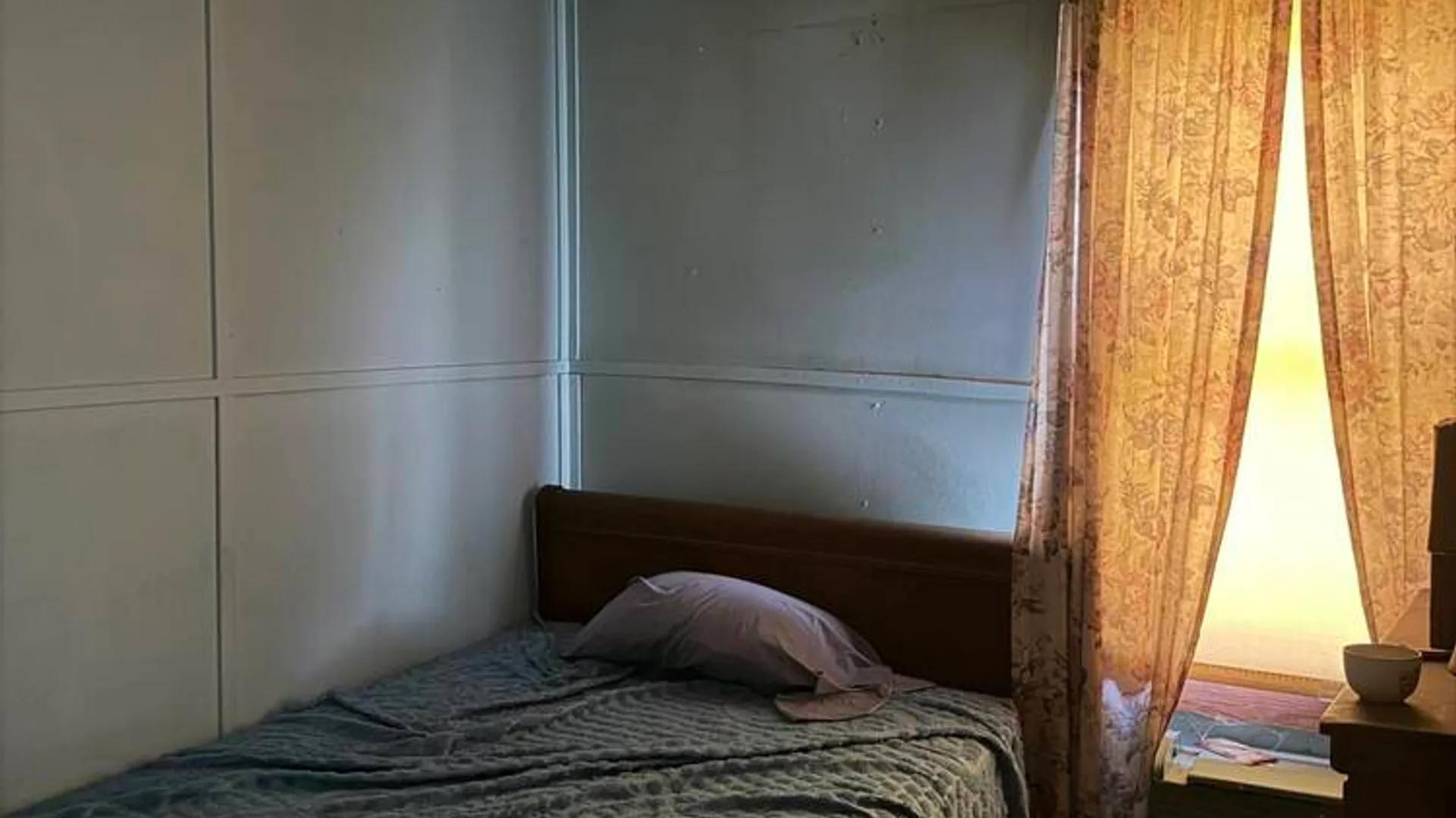 Property at 103 Grove Avenue, Caroga, NY 12032 11