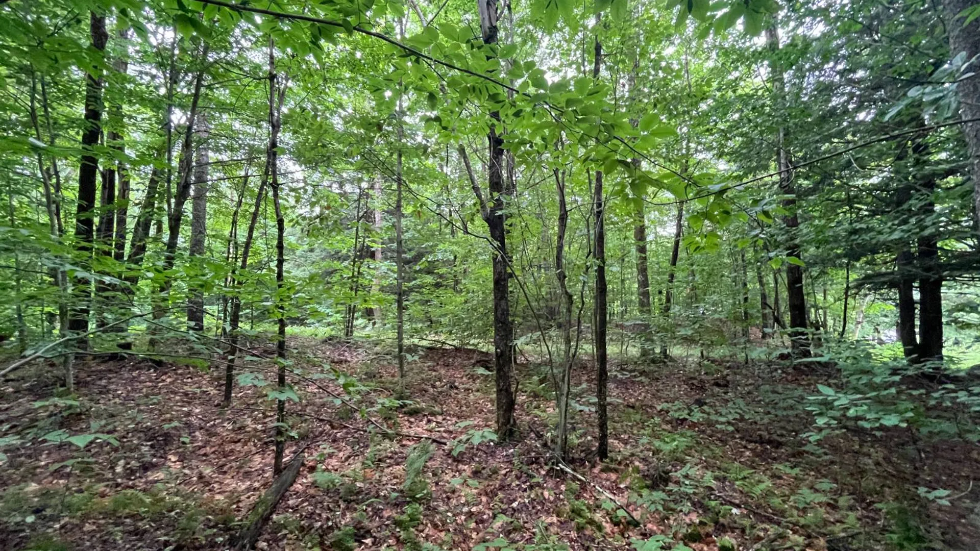 Property at 00 Boyd Pond Rd #11, Russell, NY 13684 18