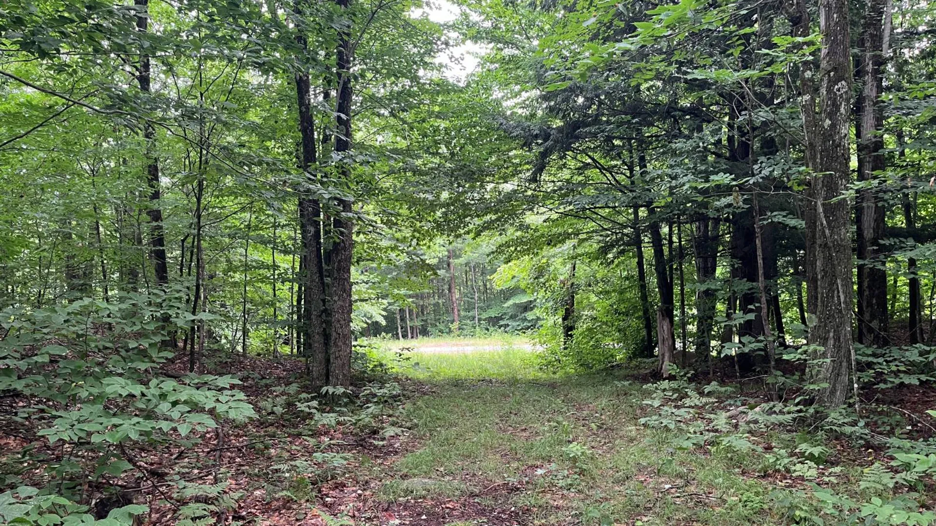 Property at 00 Boyd Pond Rd #11, Russell, NY 13684 4